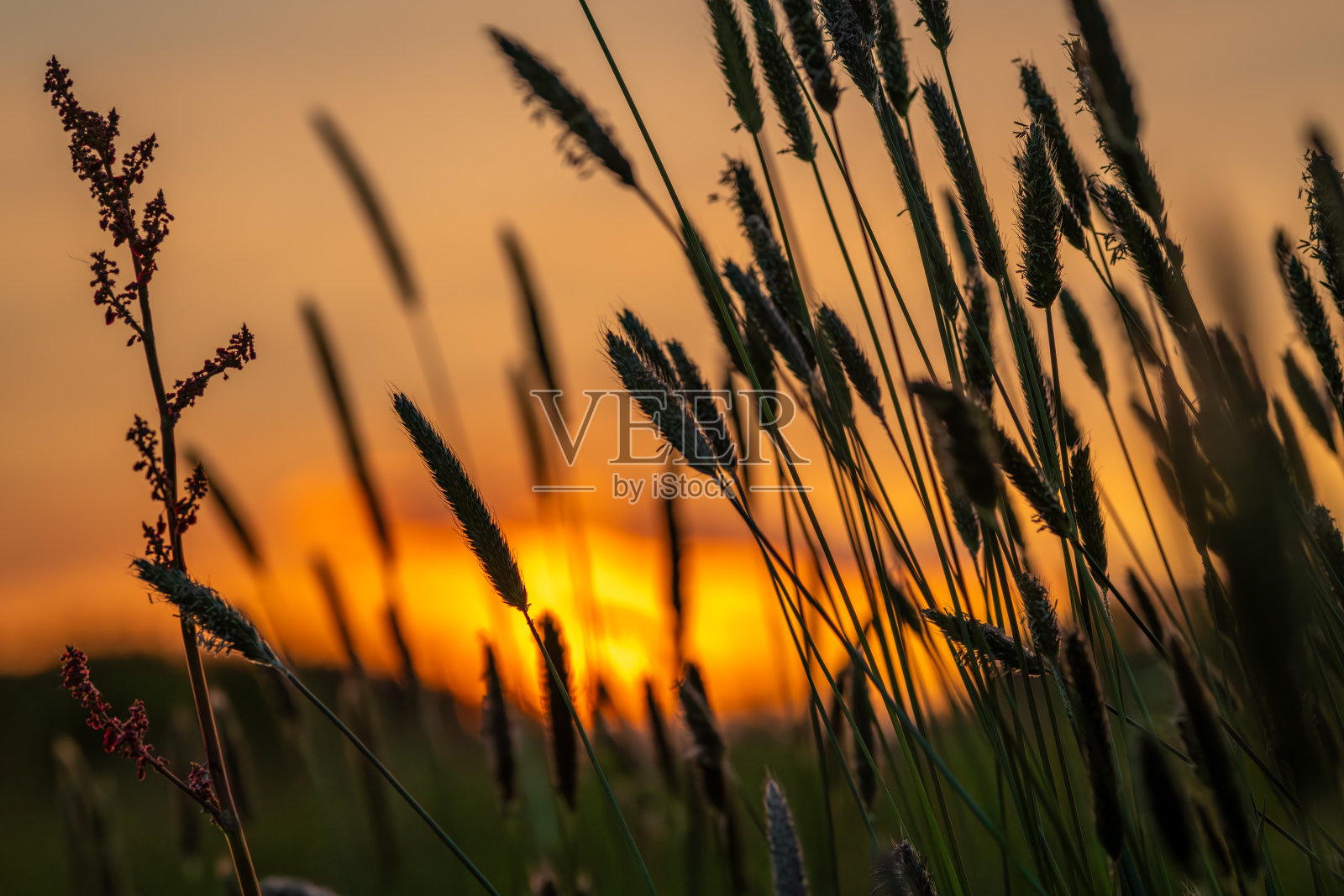 绿色春天的新鲜草地与橙色多云的日落在山中照片摄影图片