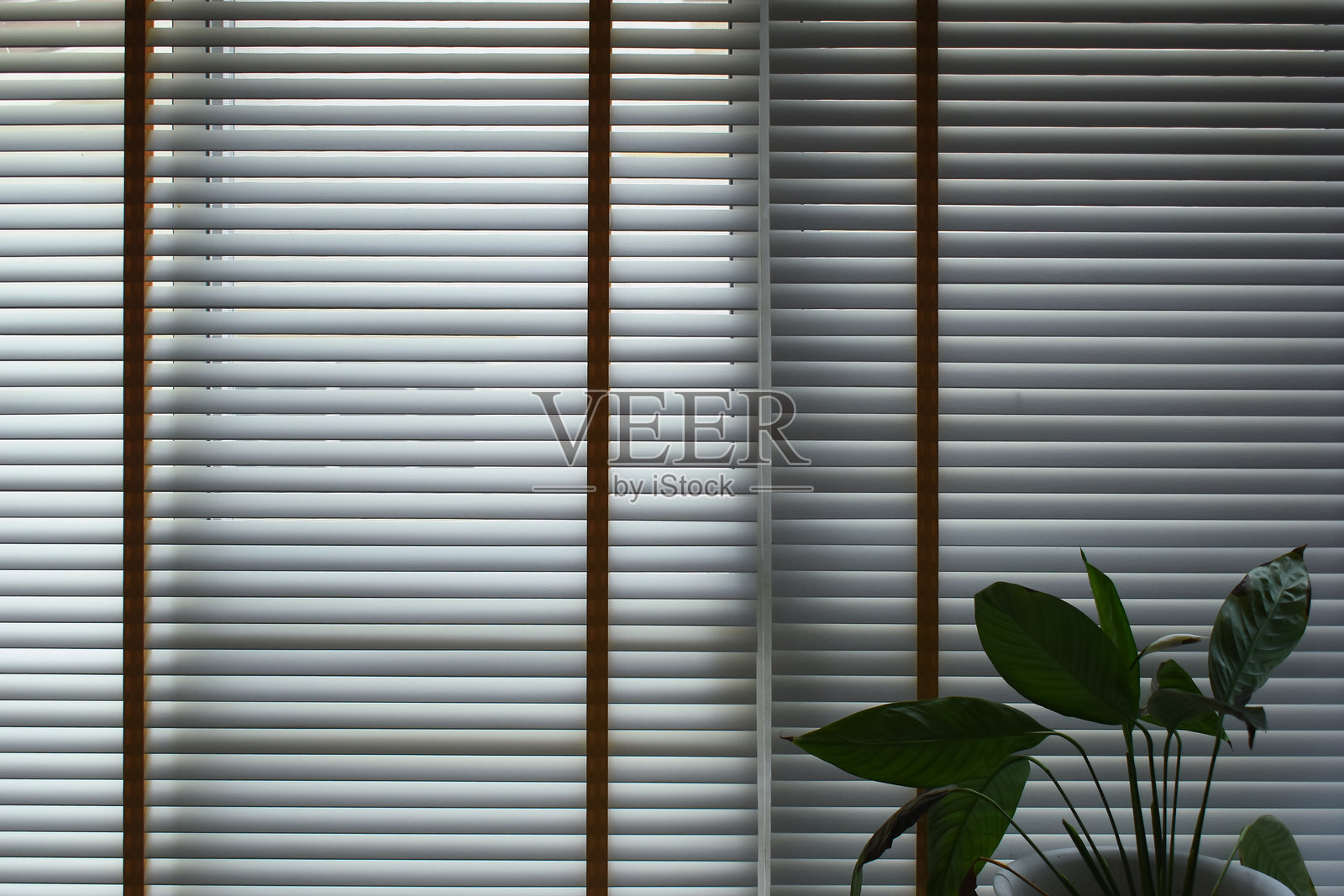 白色窗帘和绿色叶子在家中，室内装饰物品照片摄影图片