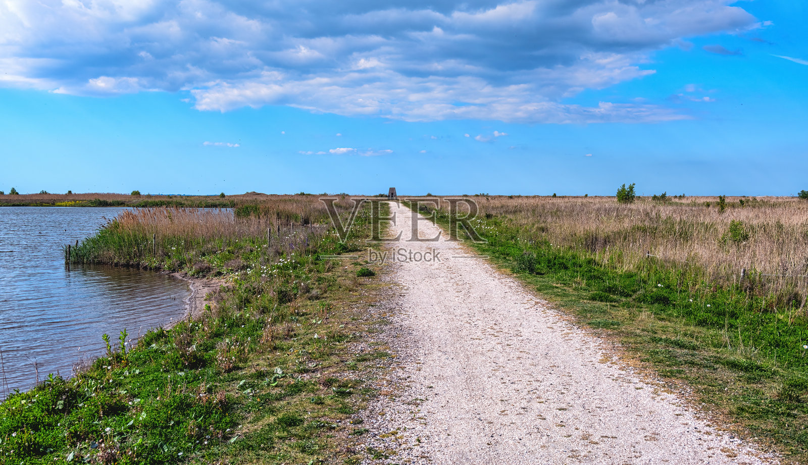 Marker Wadden群岛是一个正在开发的人造群岛，旨在促进荷兰Markermeer地区的生物多样性。照片摄影图片