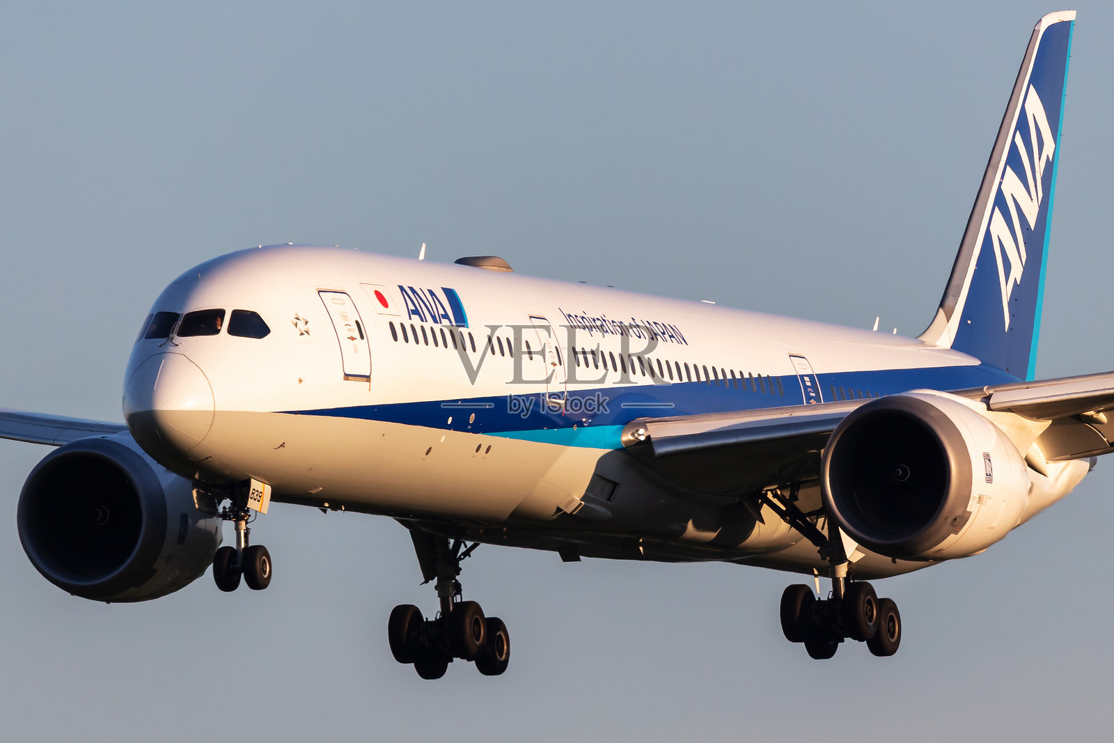 全日空波音787-9梦想客机在维也纳机场。航空与飞机。空中运输与旅行。飞行与飞翔。照片摄影图片