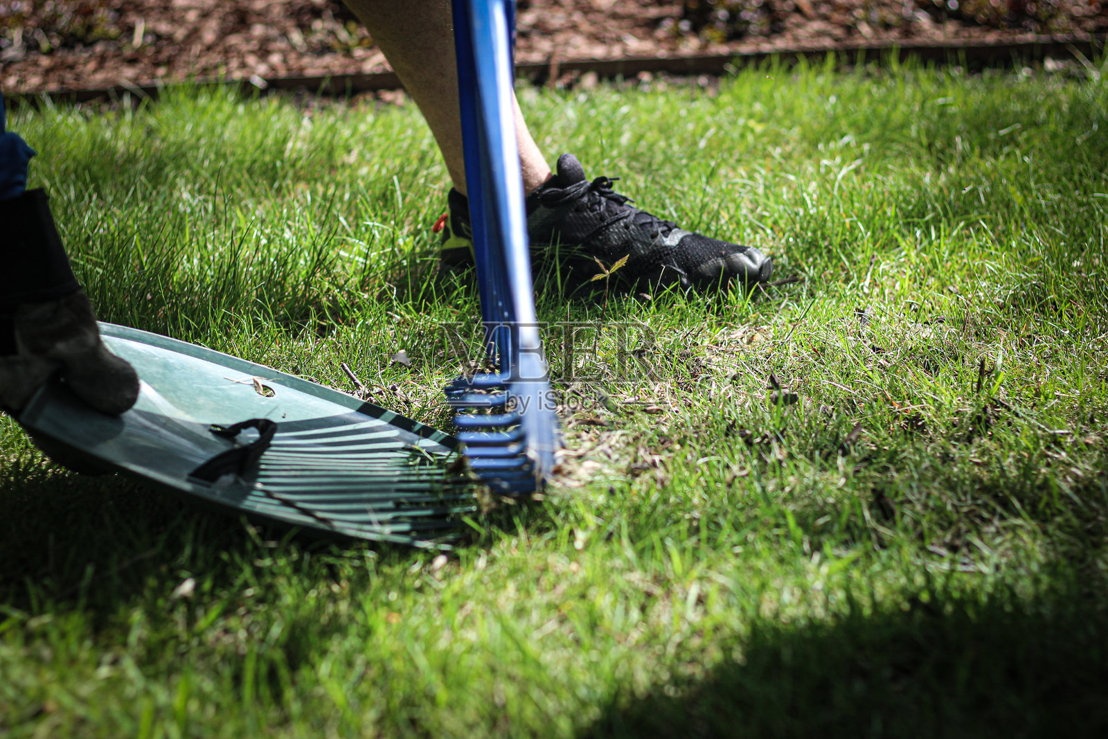 一个人使用叶子铲和耙子在院子里收集落叶和杂物，为春季清理做准备。园艺和 landscaping 设计元素。照片摄影图片