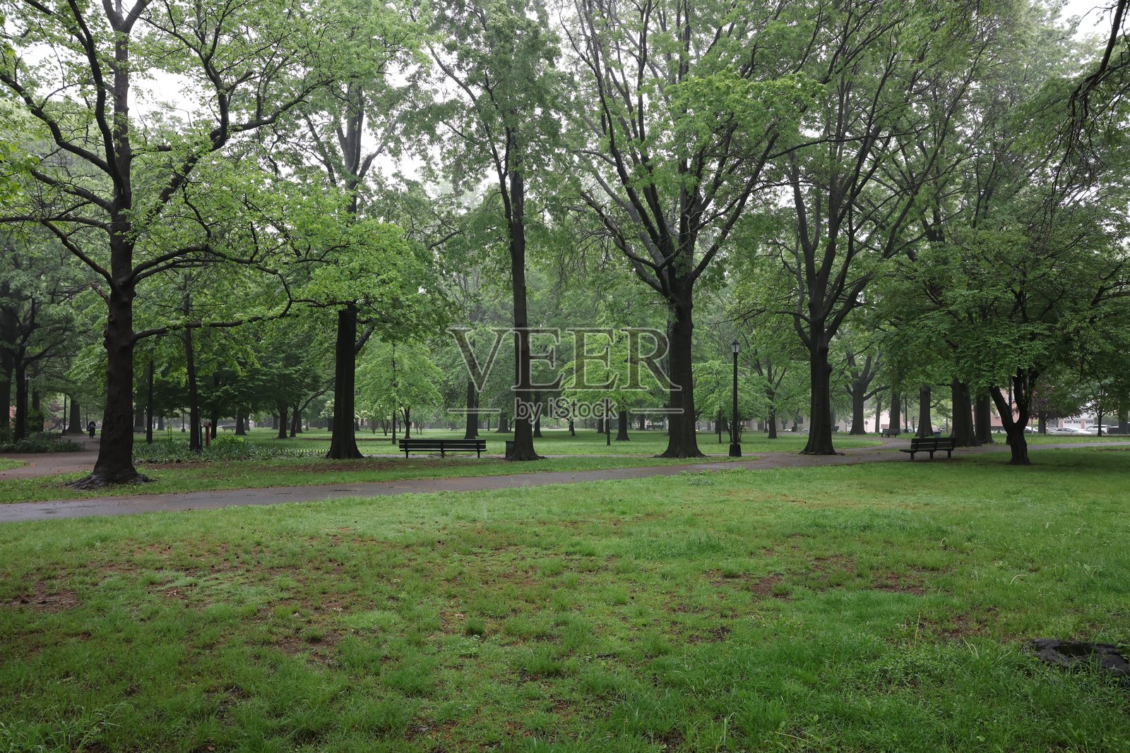 女王公园照片摄影图片