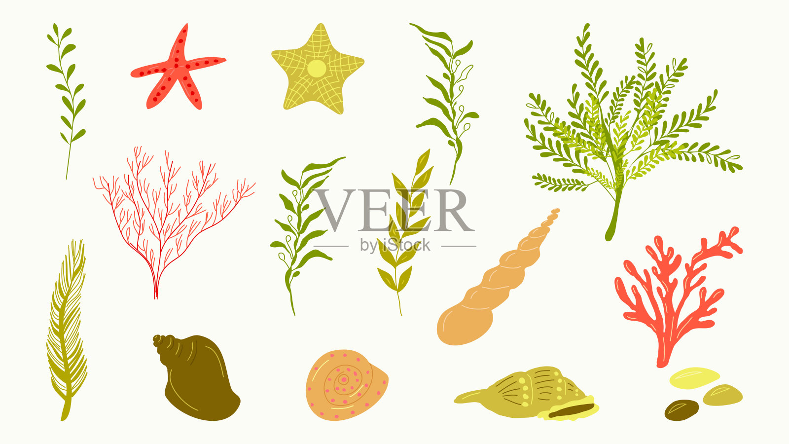 海洋植物水下海洋植物群落套装。插画图片素材