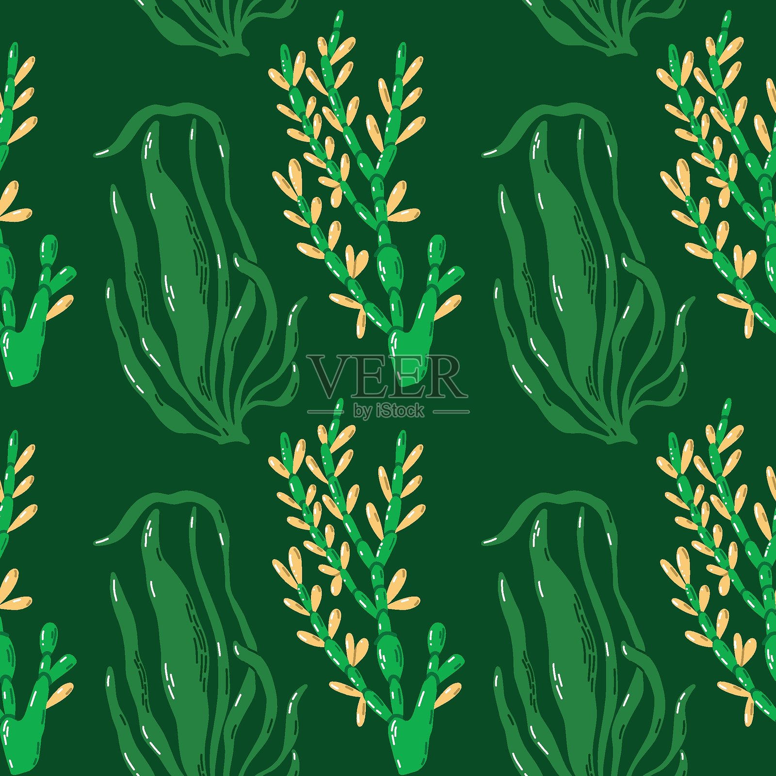 无缝图案，背景为绿色，特色为手绘海洋植物插画图片素材