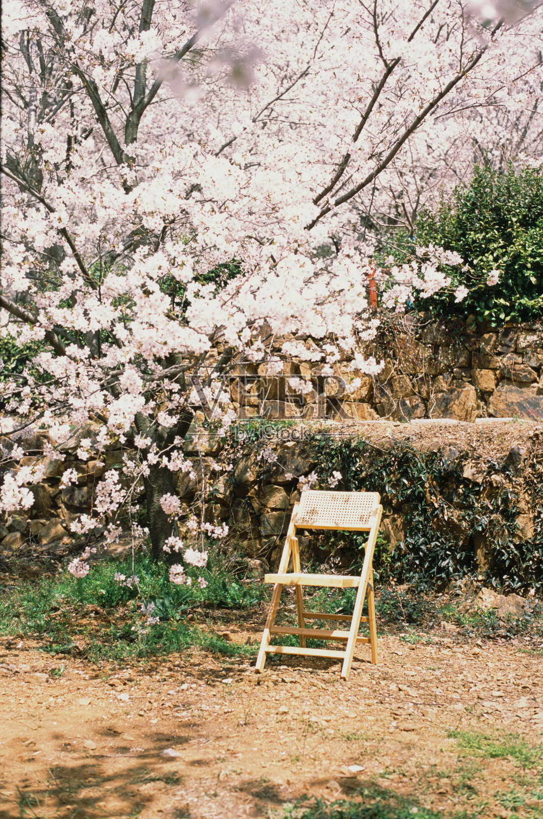 电影照片摄影图片
