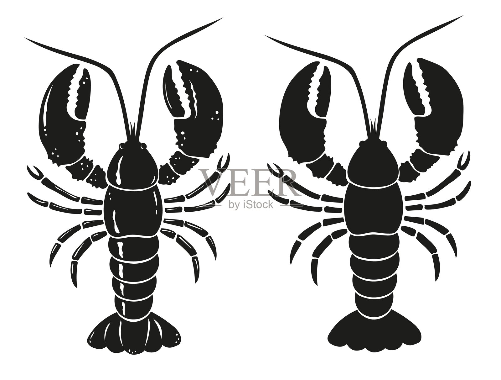 龙虾，海鲜，素描和轮廓。手绘复古海洋生物雕刻。矢量插图，白色背景上独立，适用于印刷、图案、面料、符号、图标。插画图片素材