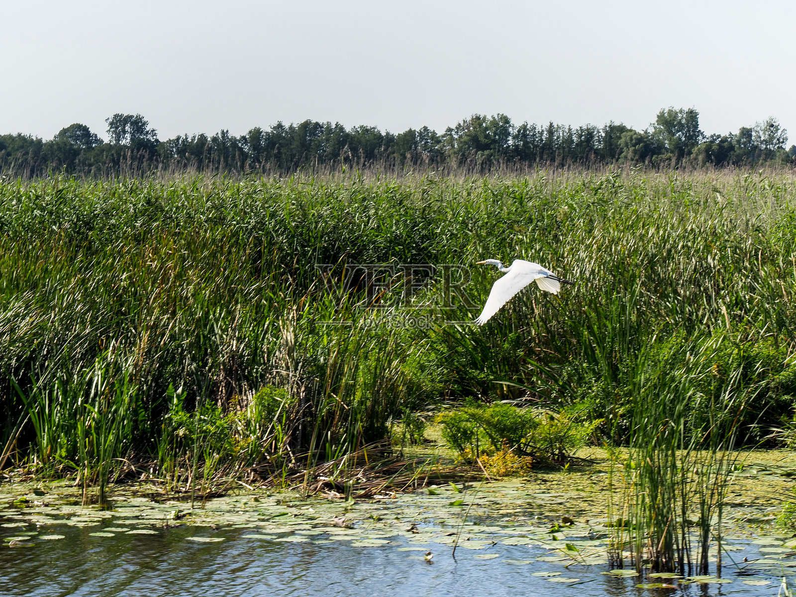 埃尔布朗河水道及周边乡村照片摄影图片