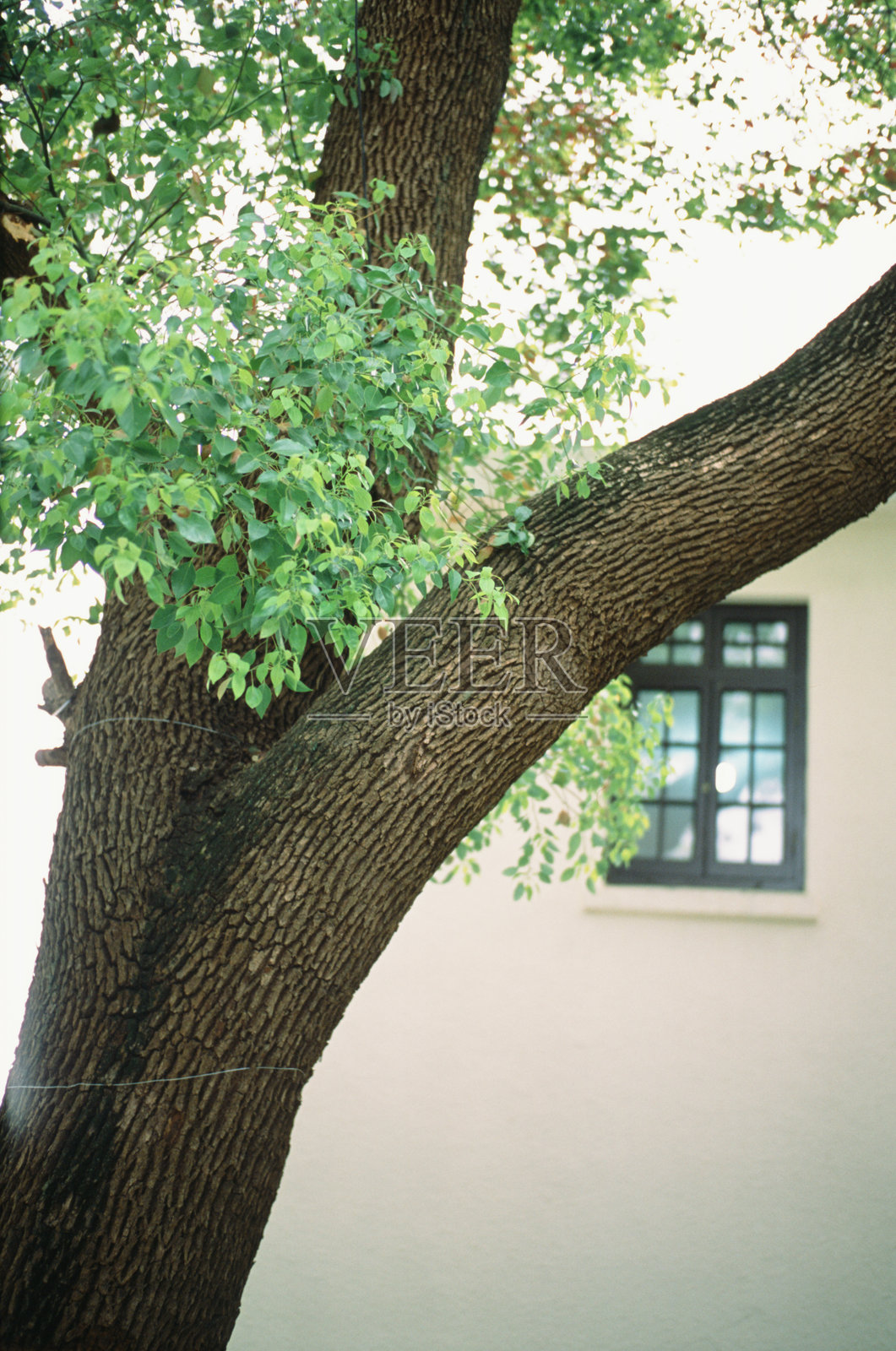 胶卷照片摄影图片