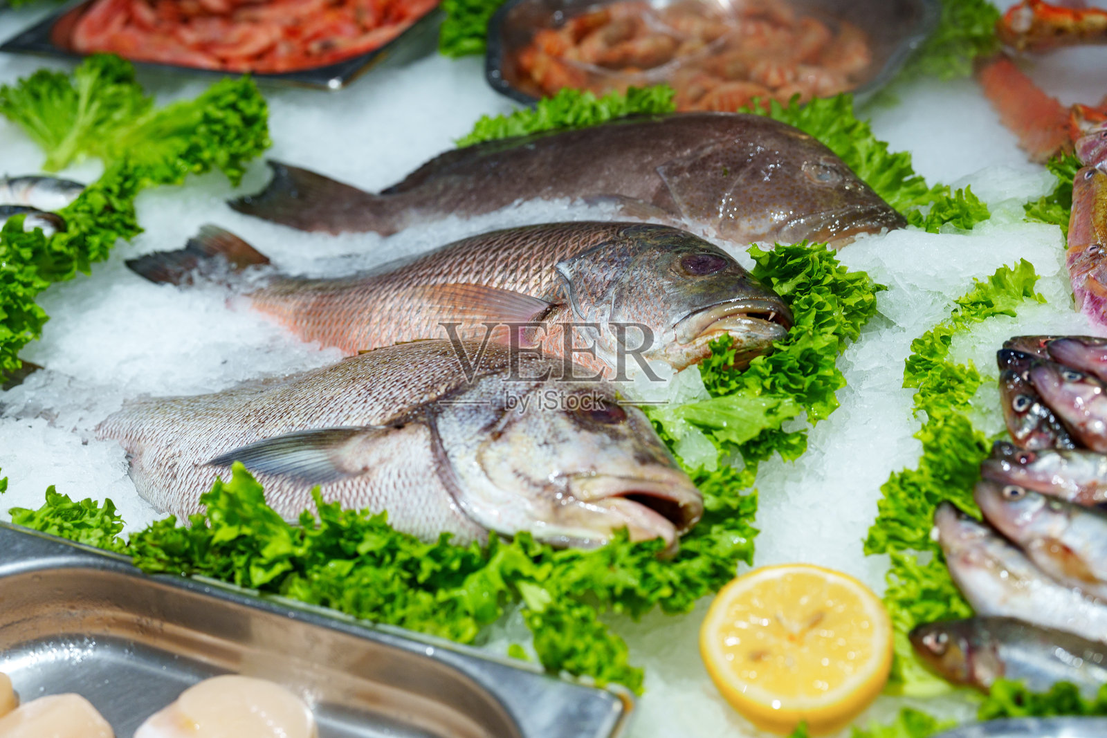 沿海城市市场上展示的新鲜海鲜，冰上摆放着各种鱼类和贝类供出售照片摄影图片