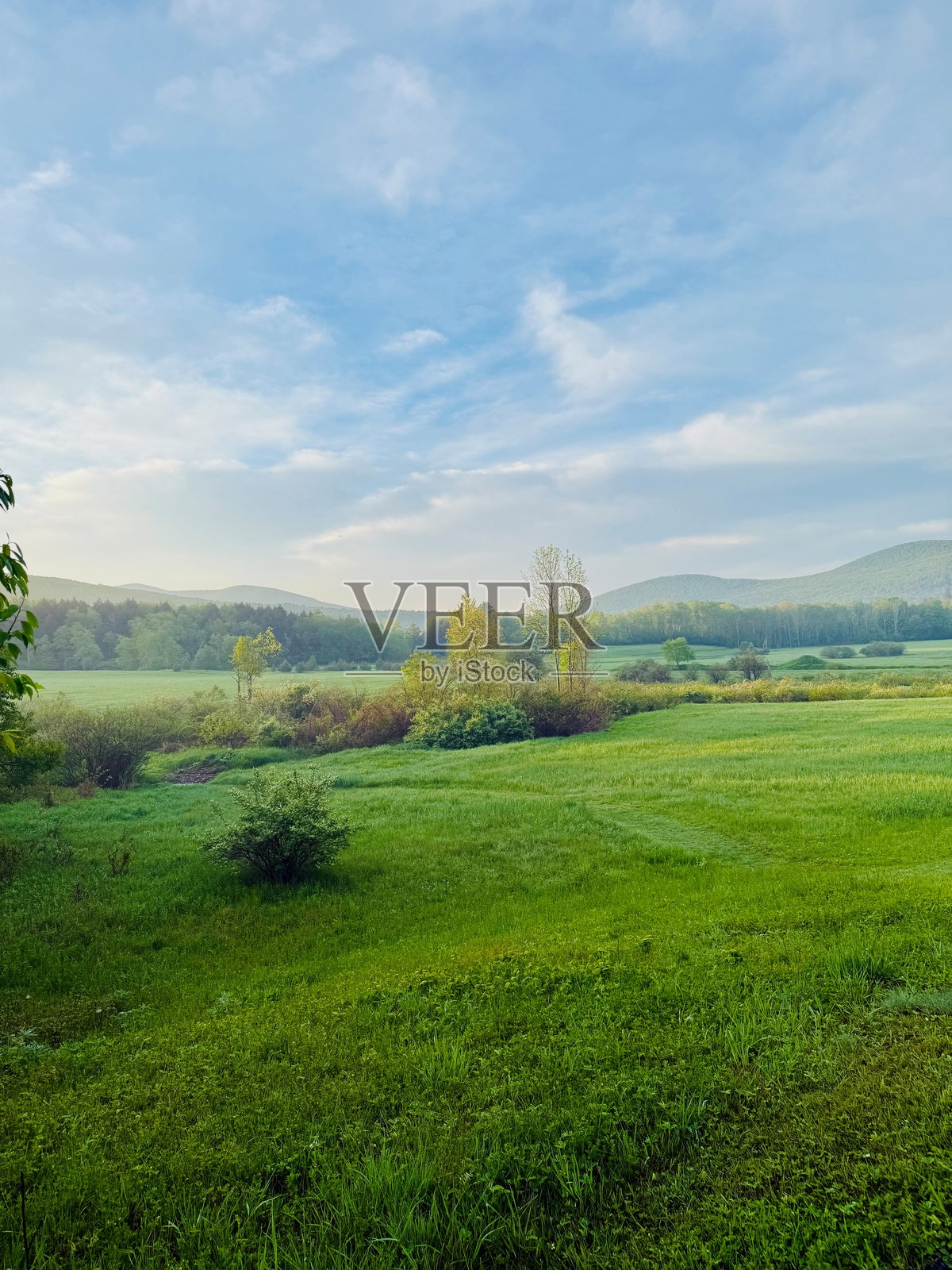 清晨的氛围，雾气弥漫的春天黎明，日出后不久。美丽的地形，迷人的风景和景观。照片摄影图片