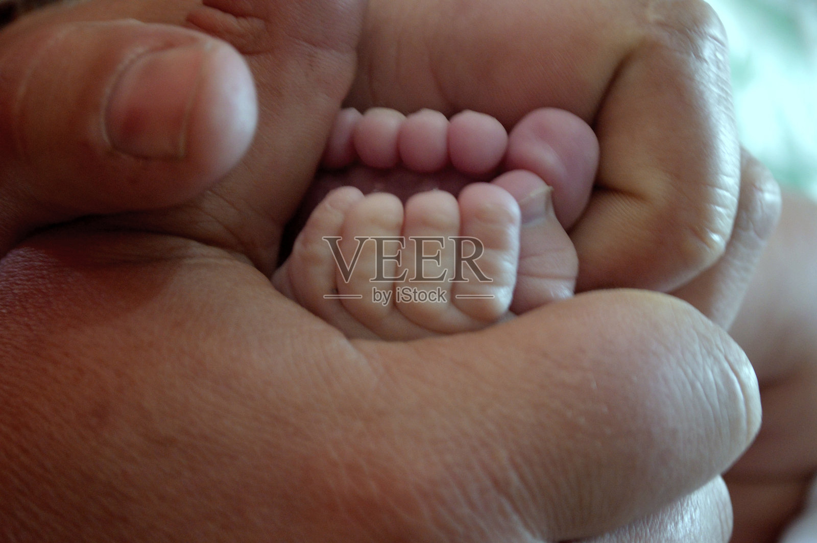 父亲抱着新生儿的脚，展示着小脚趾。照片摄影图片