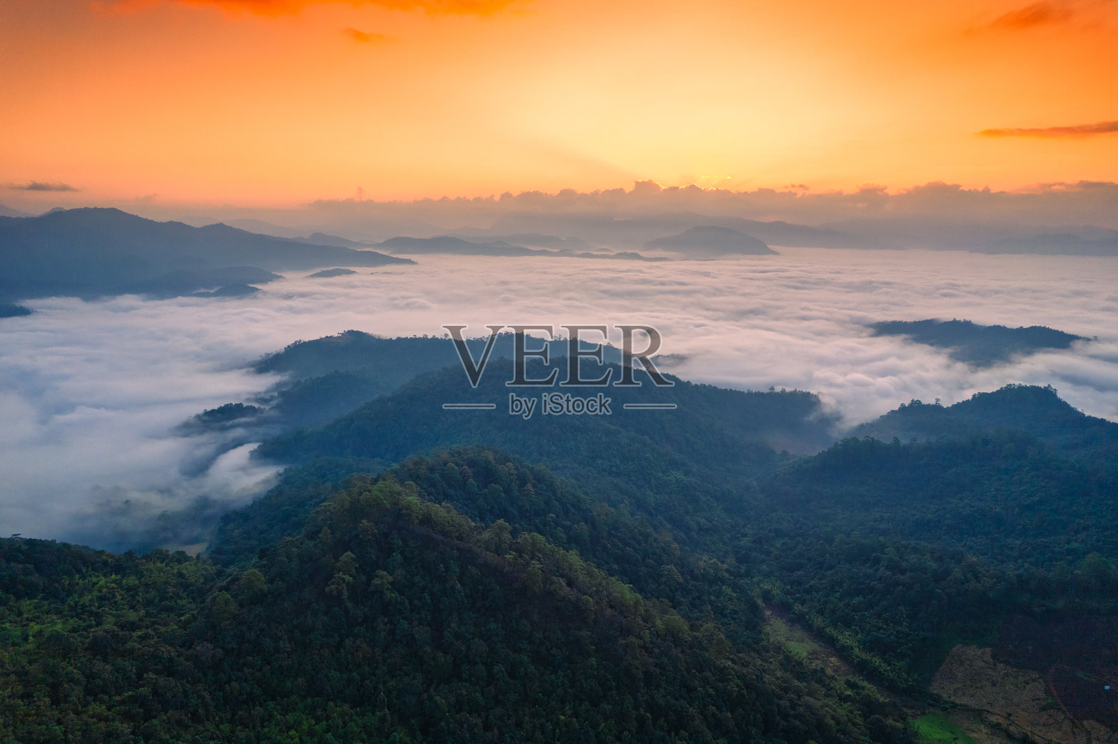 金色日出照耀在热带山脉上，雾海流动，远离喧嚣的宁静氛围。照片摄影图片