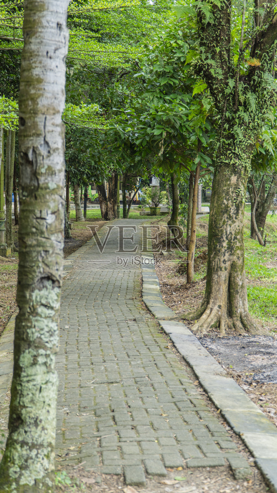 宁静的公园小径，铺满苔藓的砖石和绿树，邀请人们在大自然中悠闲漫步照片摄影图片