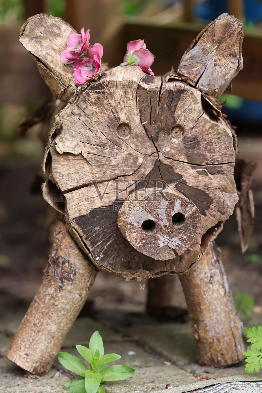 户外的木猪雕塑与花朵照片摄影图片