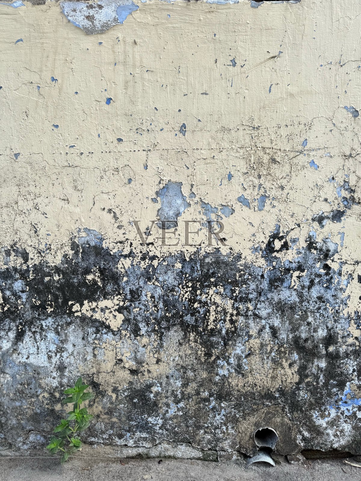 非常美丽的老建筑，窗户，废弃的建筑，破旧的墙壁和窗户，百叶窗和窗帘敞开，那里仍然有人居住。照片摄影图片