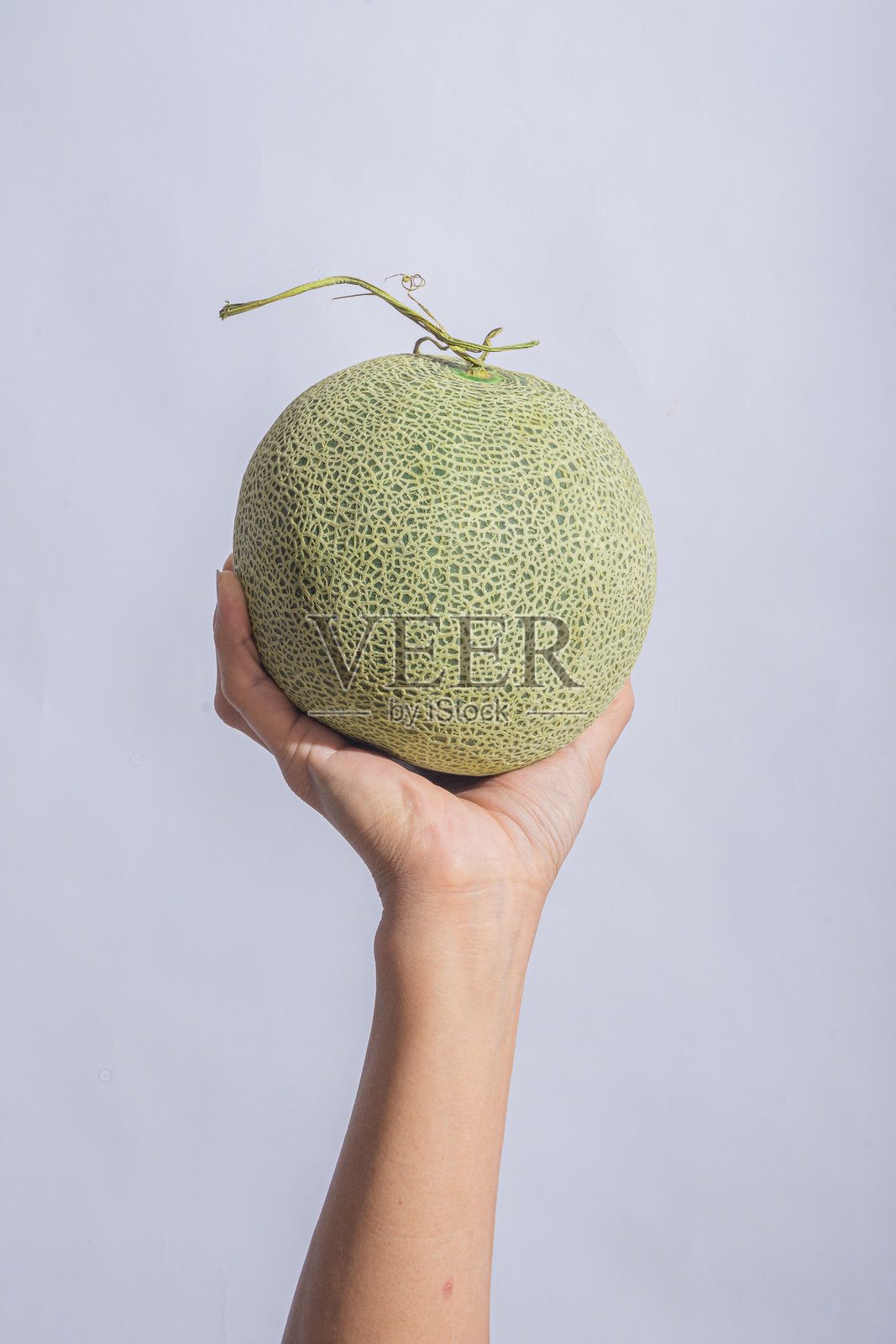 一只手握着一个完整的绿色皮哈密瓜，背景为明亮的白色，展示了其粗糙的表面、圆润的形状和这种甜美水果的热带新鲜感。照片摄影图片