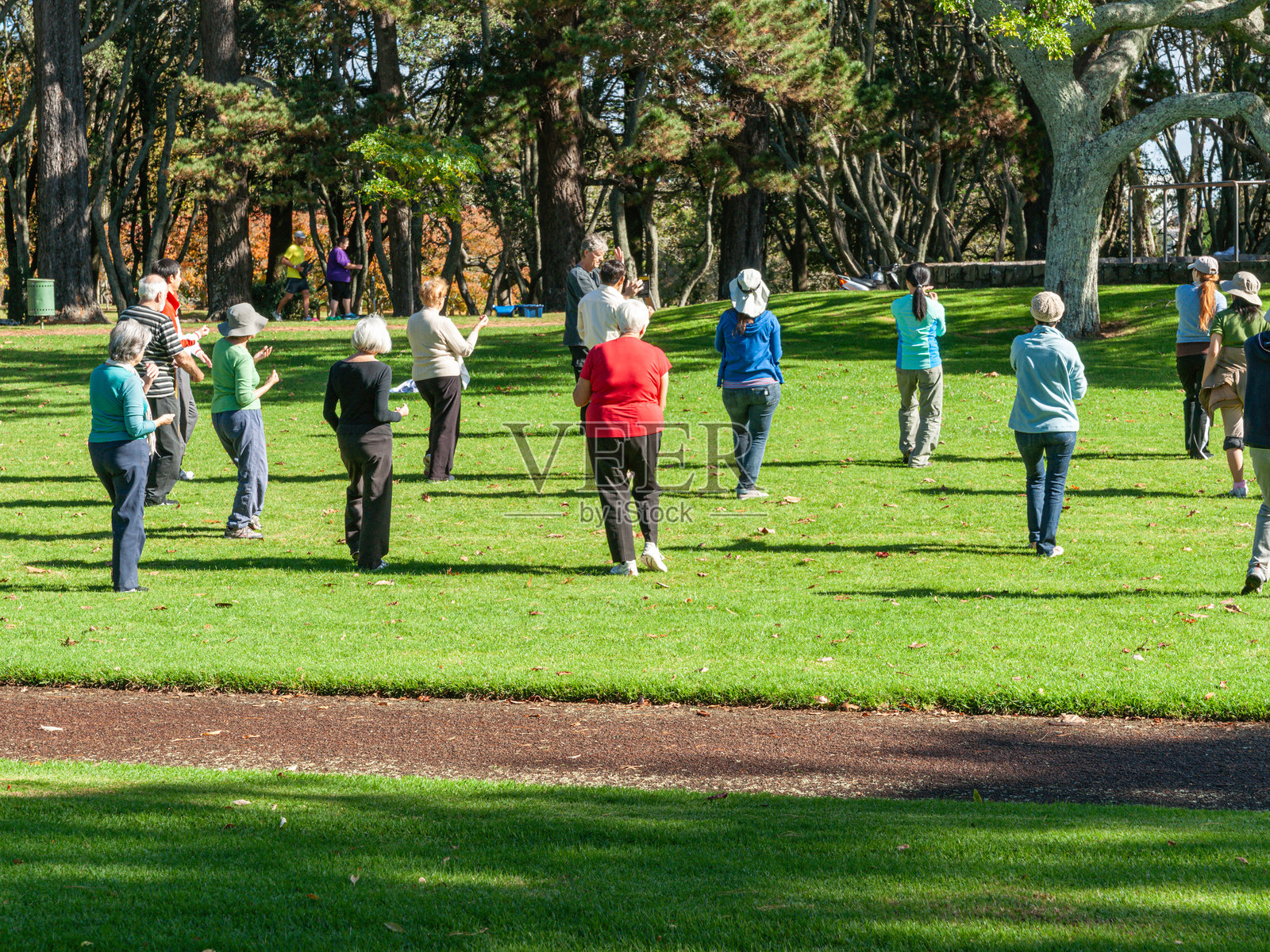城市公园中积极的老年人在练习太极拳照片摄影图片