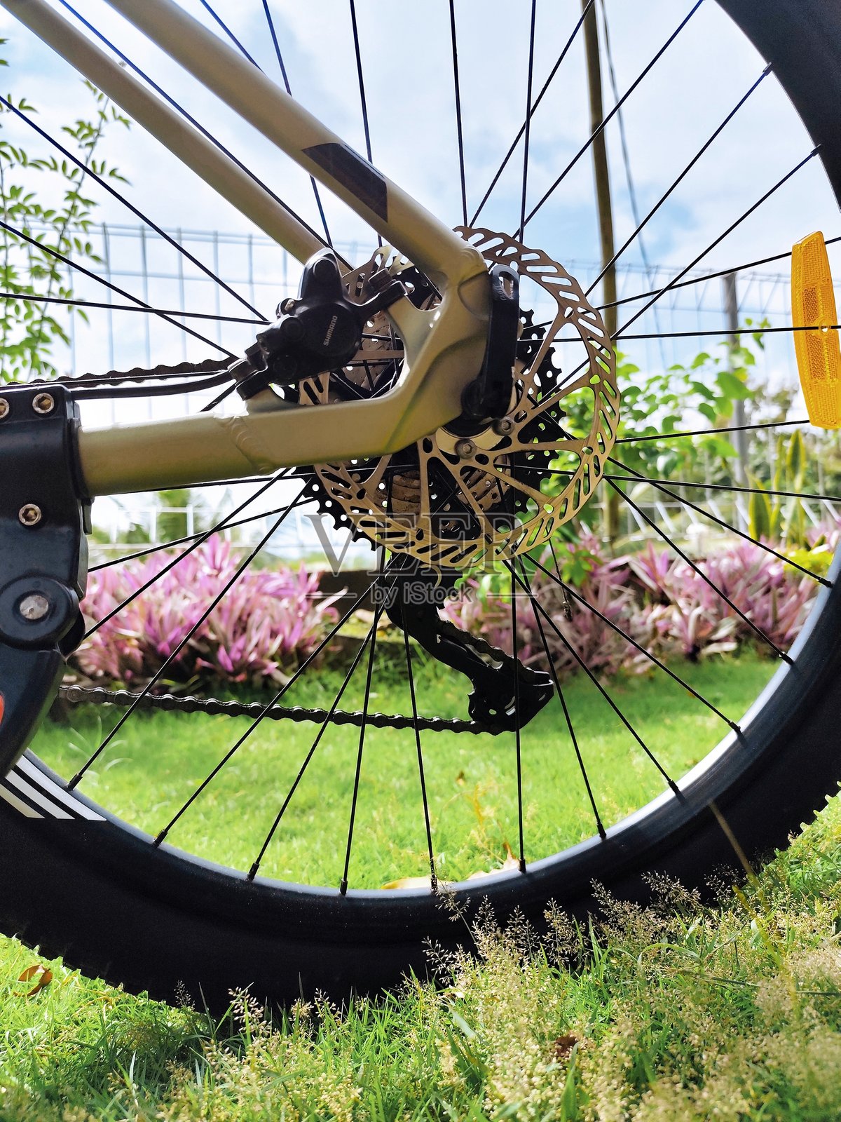 公园里停放的自行车特写照片照片摄影图片