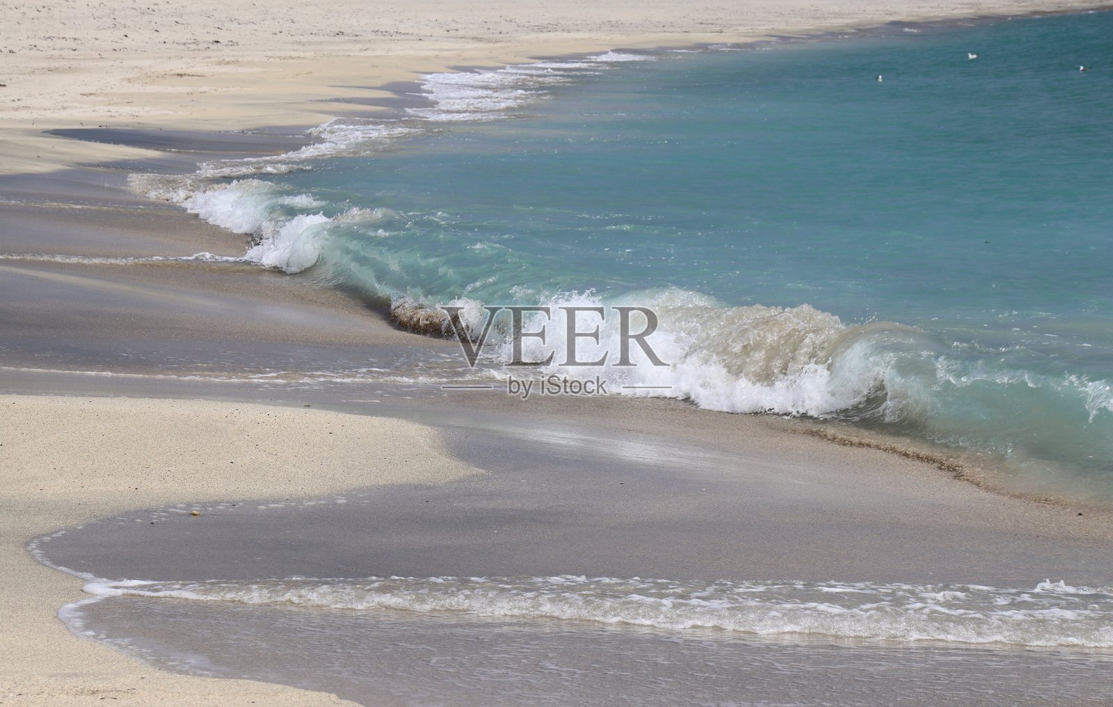 绿松石照片摄影图片