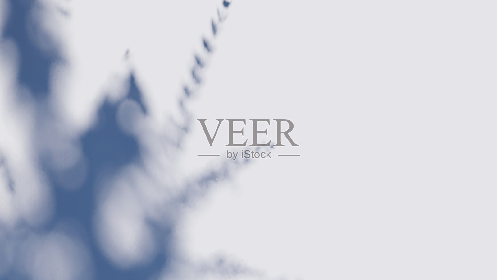 阴影叠加墙面纹理阳光叶子阴影抽象3D渲染。照片摄影图片