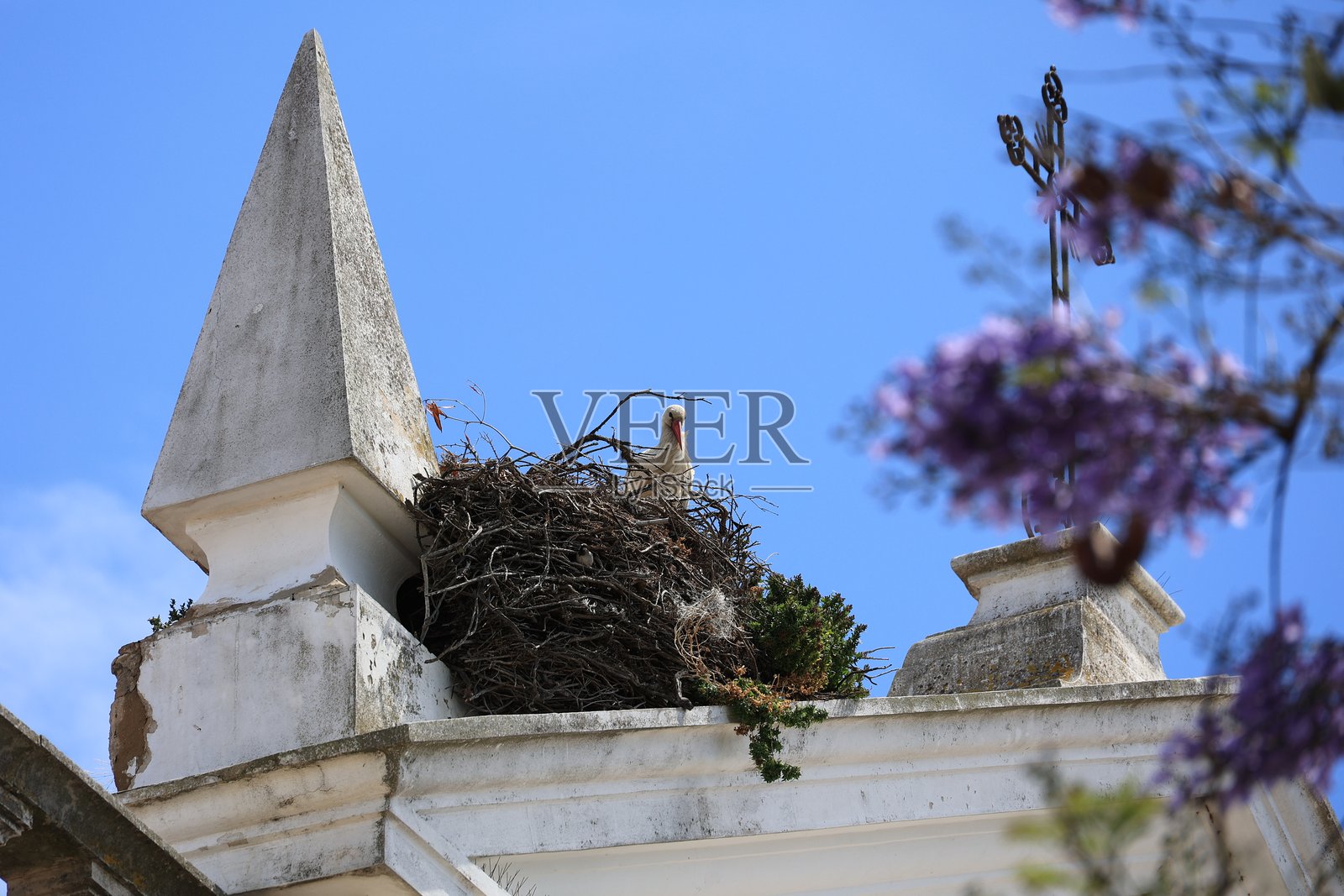 在葡萄牙法鲁的慈善圣殿，鹳巢中有一只鹳。照片摄影图片