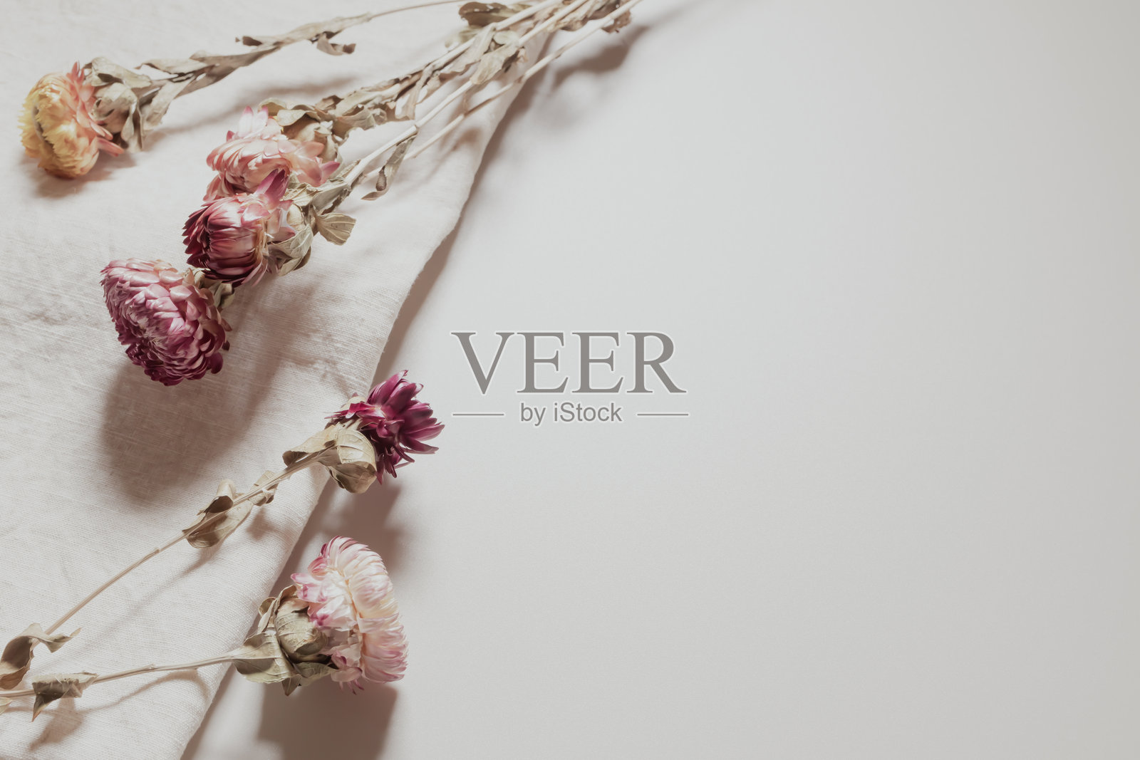 干花背景素材。照片摄影图片