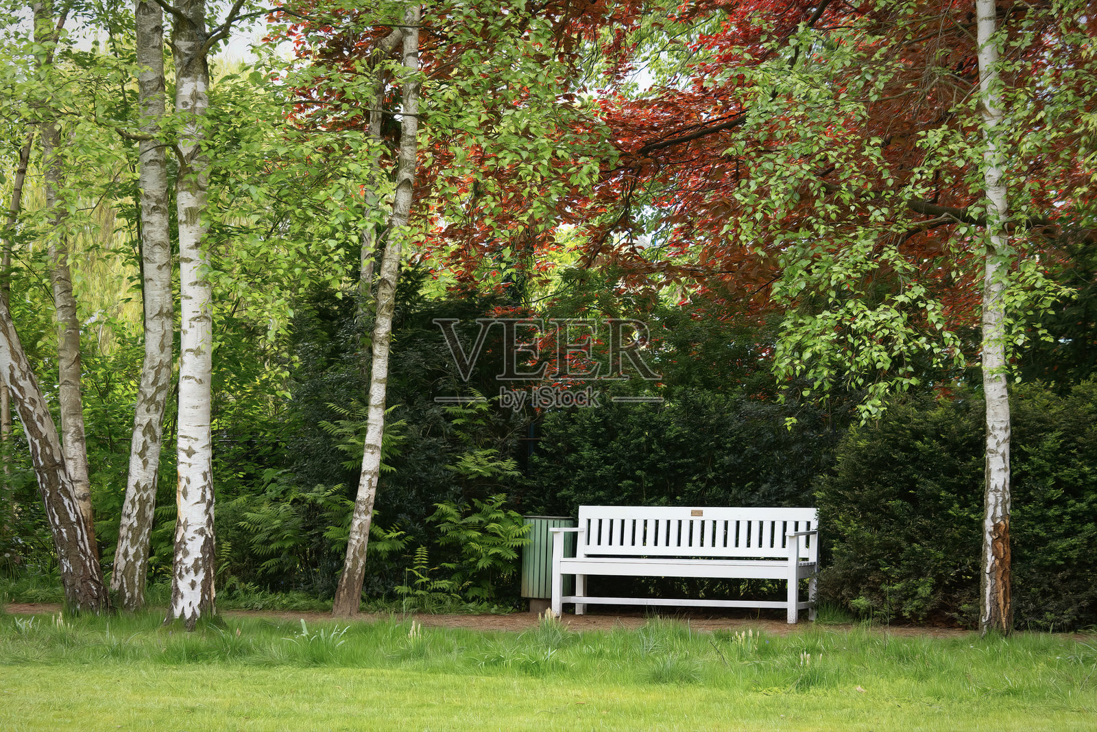 长椅照片摄影图片