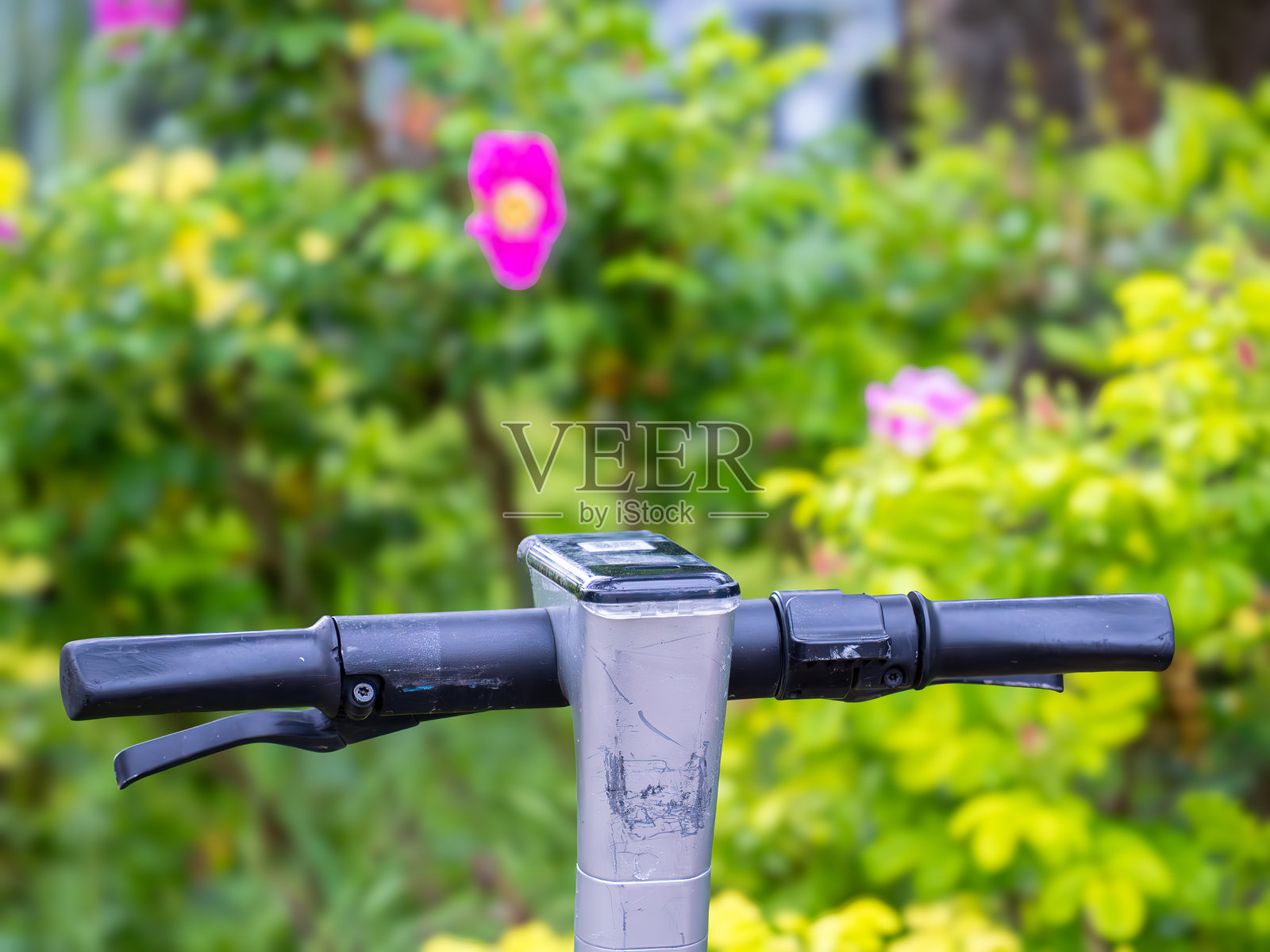 自然中的滑板车把手照片摄影图片