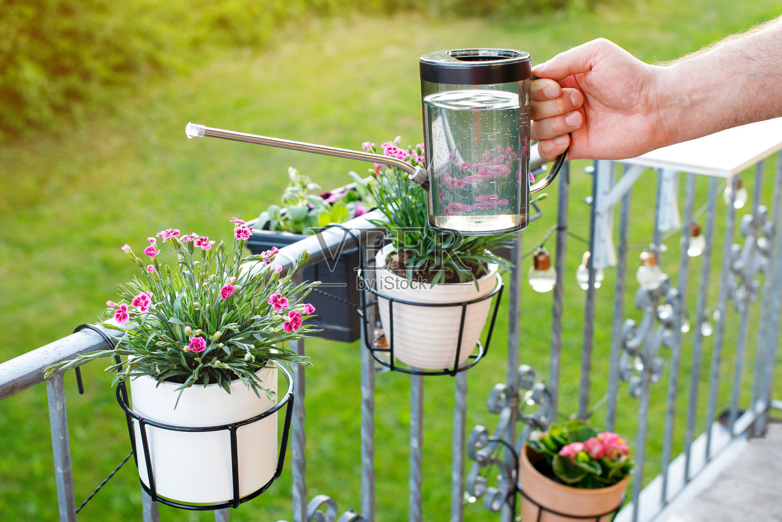 男人在阳台上浇花的特写，爱好照片摄影图片