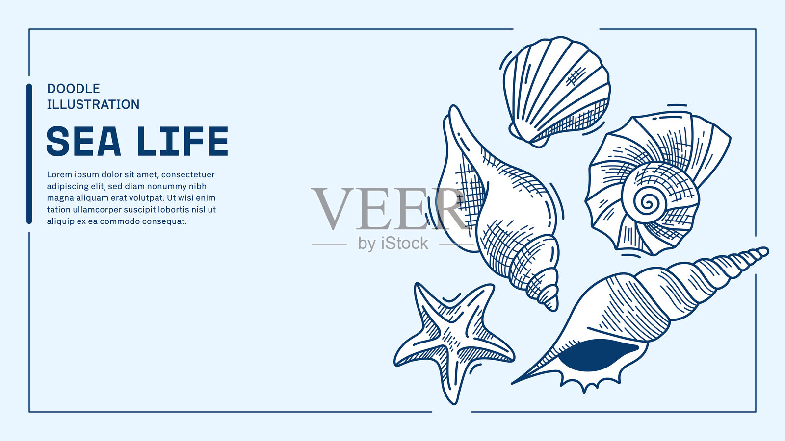 海洋生物涂鸦矢量图，包含手绘的贝壳、海星和海洋生物。插画图片素材