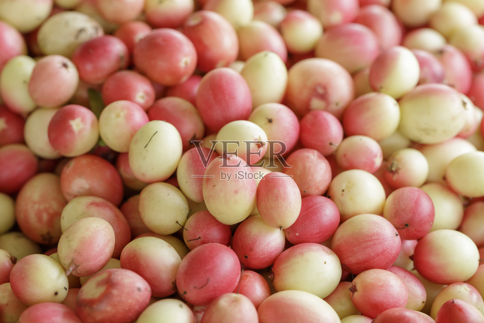 一堆卡伦达果，卡里萨·卡兰达 L. 卡兰达；卡伦达照片摄影图片