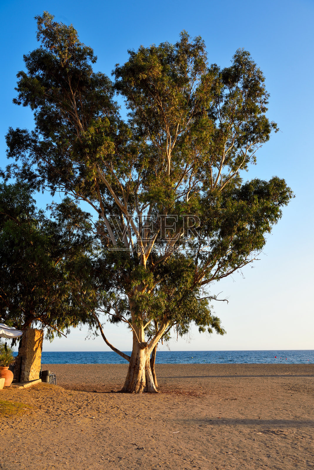 西班牙穆尔西亚的博尔努埃沃照片摄影图片