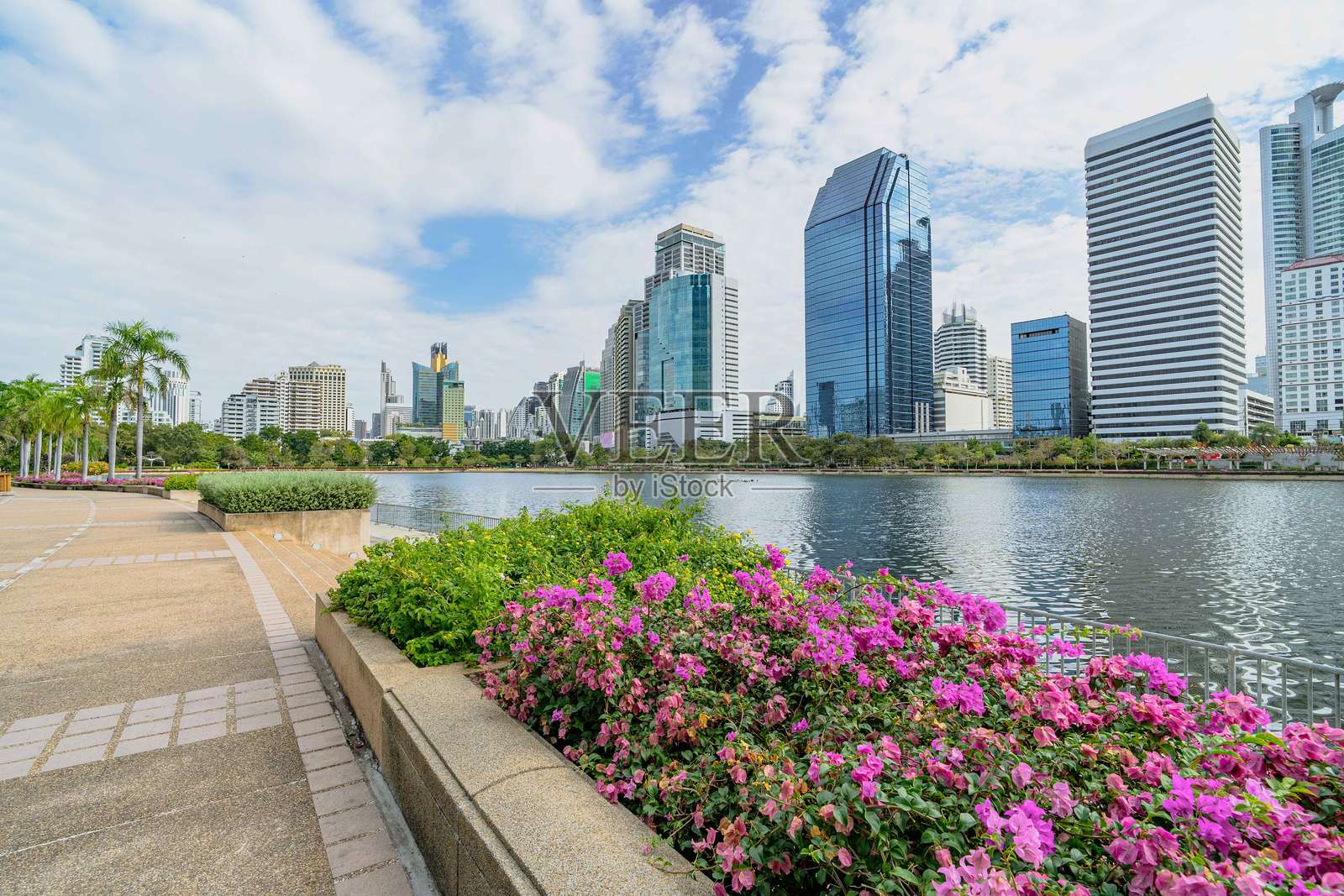 美丽的曼谷城市公园，名为本杰基提公园照片摄影图片