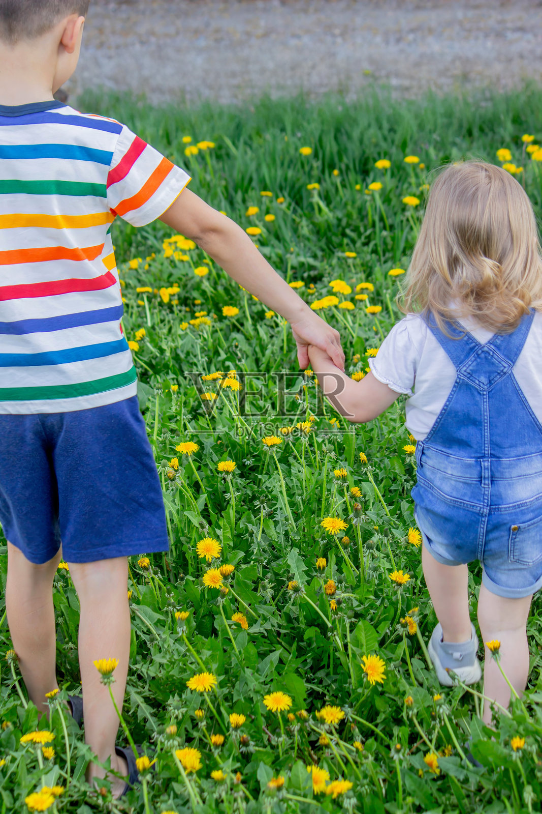 姐妹和兄弟在自然背景下拥抱照片摄影图片