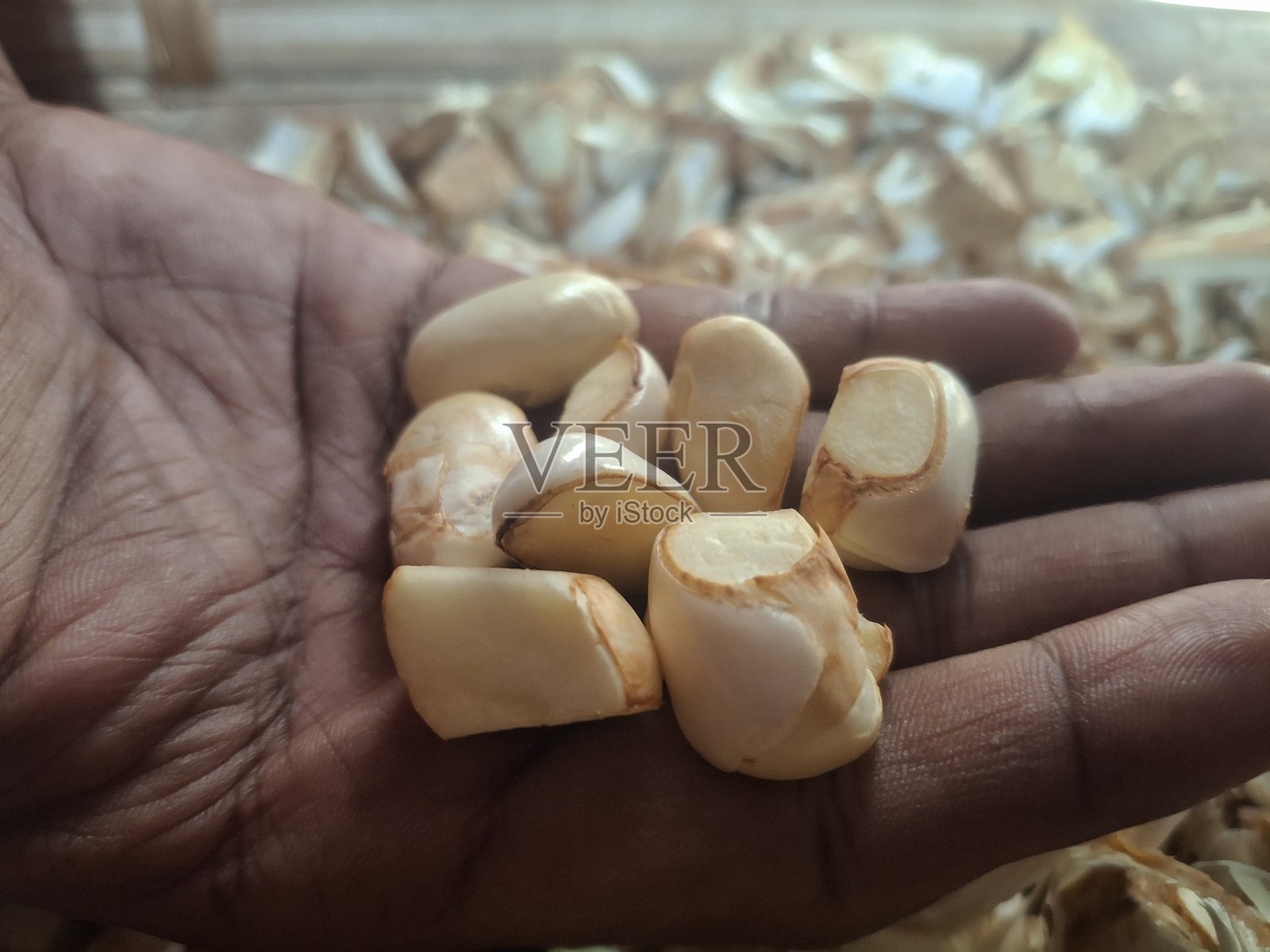 菠萝蜜片呈金黄色，甜美、纤维丰富、芳香、嚼劲十足且多汁，类似热带糖果，具有独特的水果、香蕉和菠萝风味混合。照片摄影图片