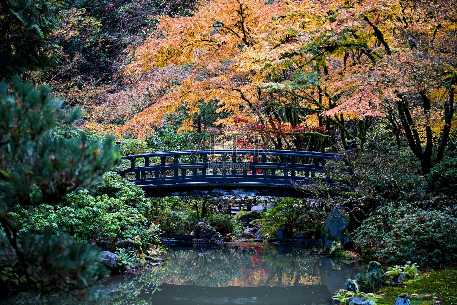 中国园林照片摄影图片