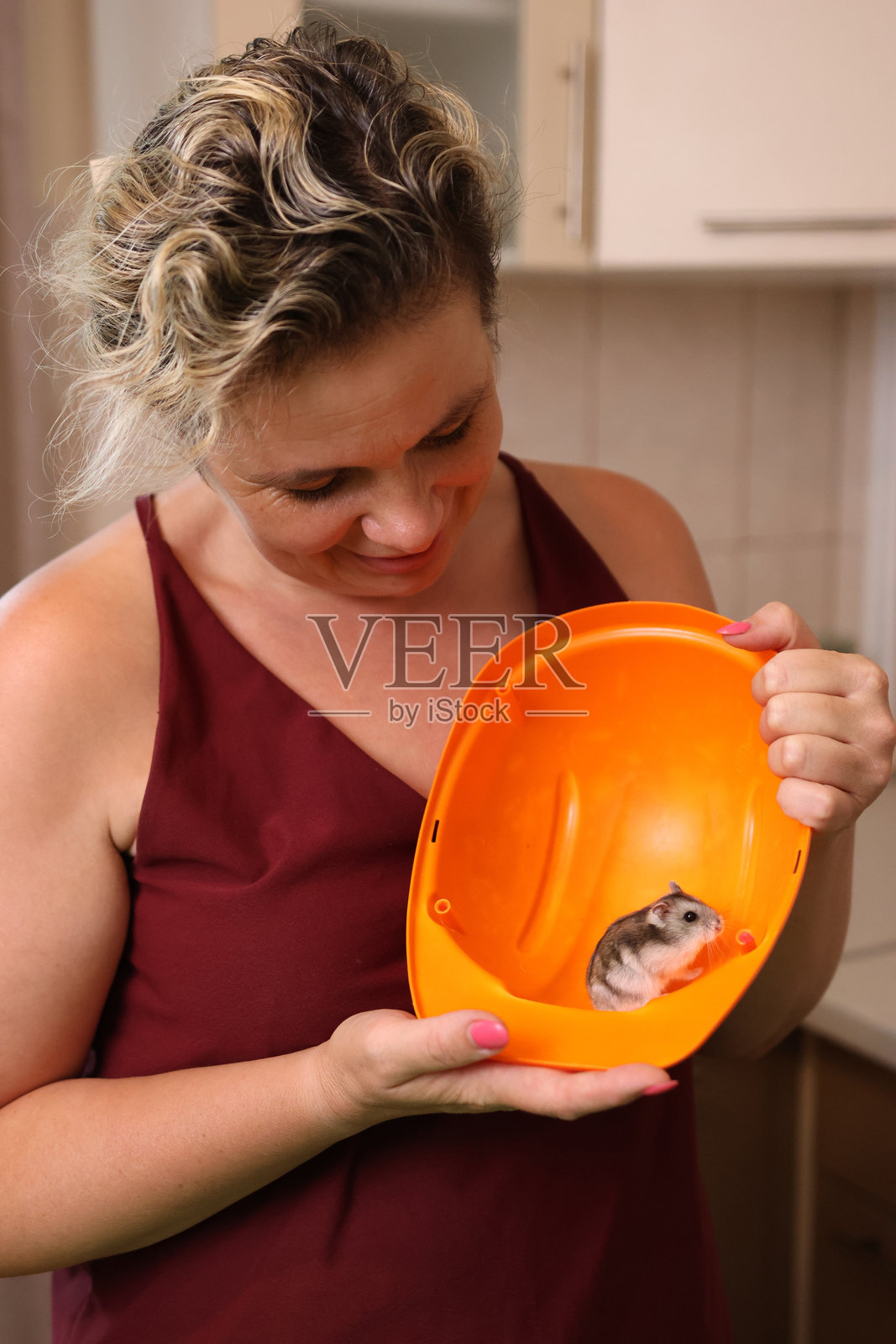 人们照顾并与仓鼠玩耍。照片摄影图片