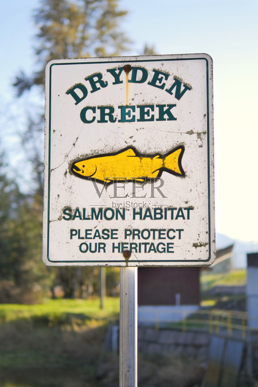 不列颠哥伦比亚省斯阔米什的德赖登溪鲑鱼栖息地标志照片摄影图片