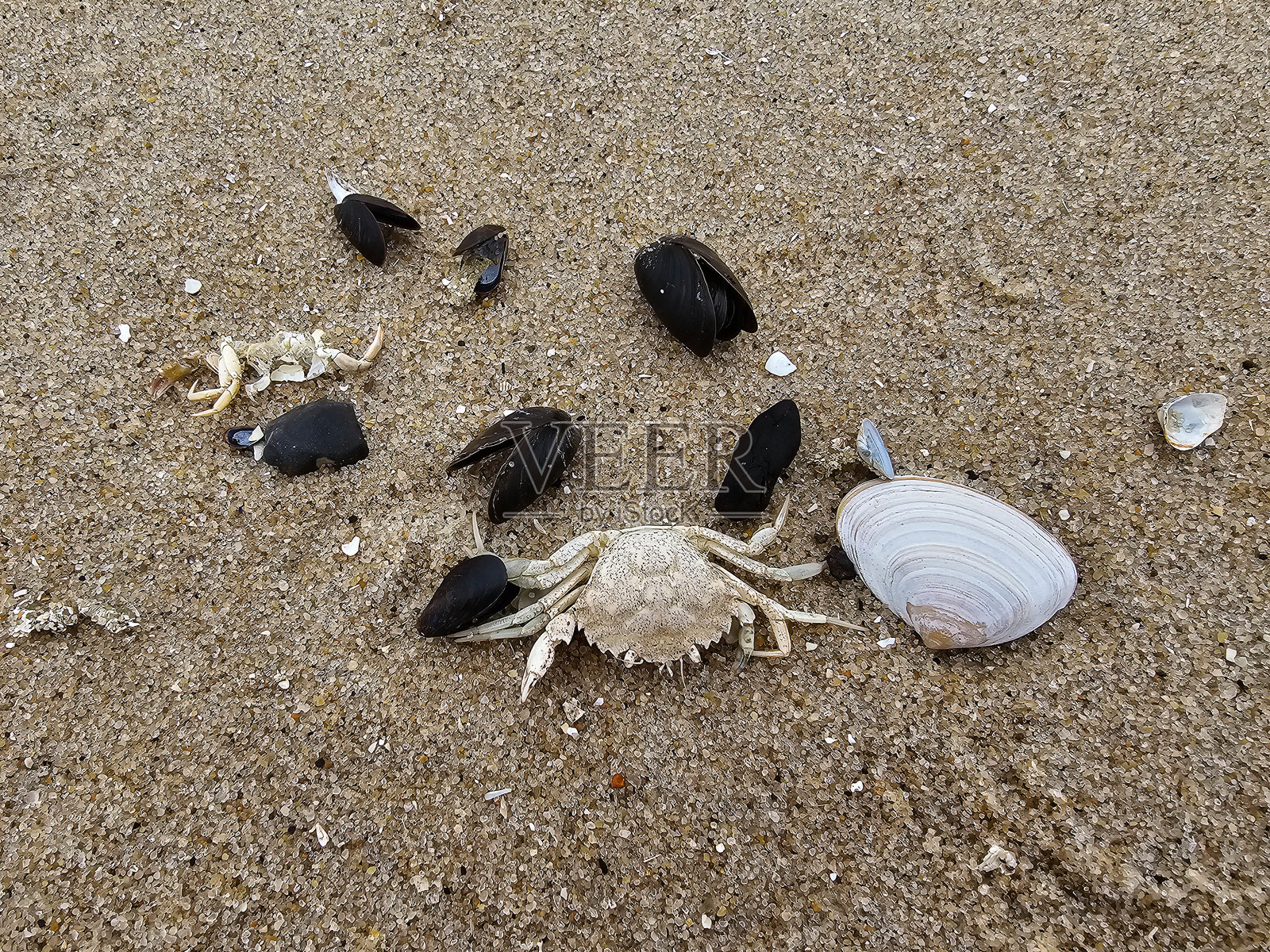 北海照片摄影图片