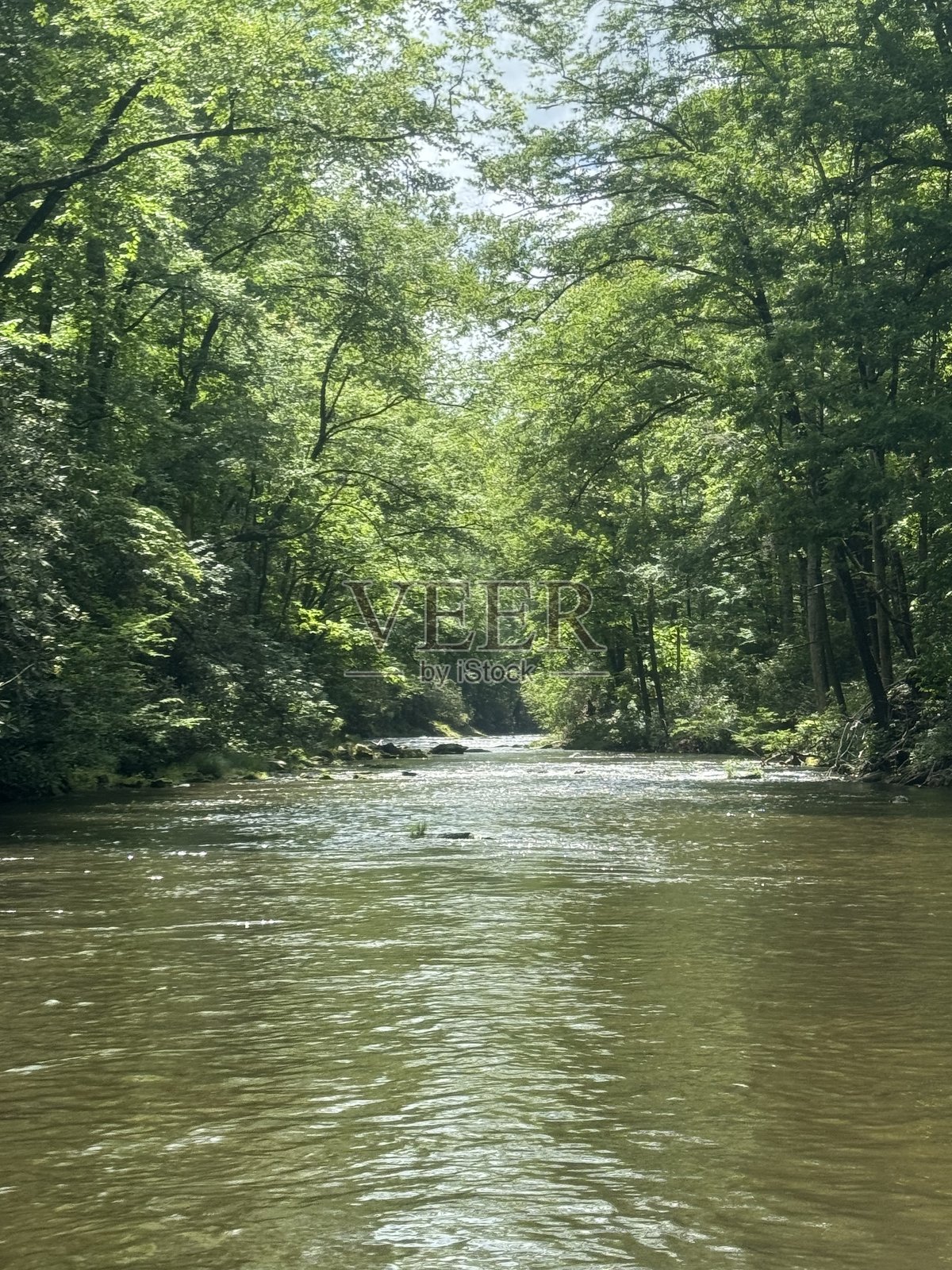 北卡罗来纳州西部的河流照片摄影图片