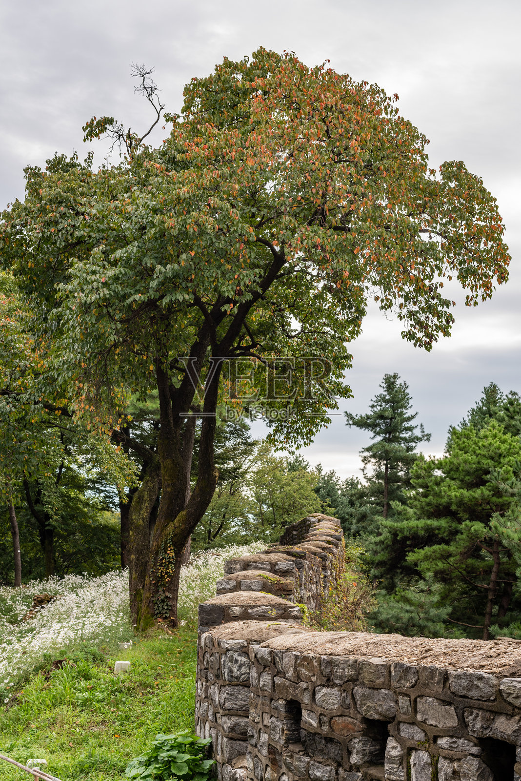 南山公园的首尔城墙,保护韩国首都首尔的古老堡垒照片摄影图片