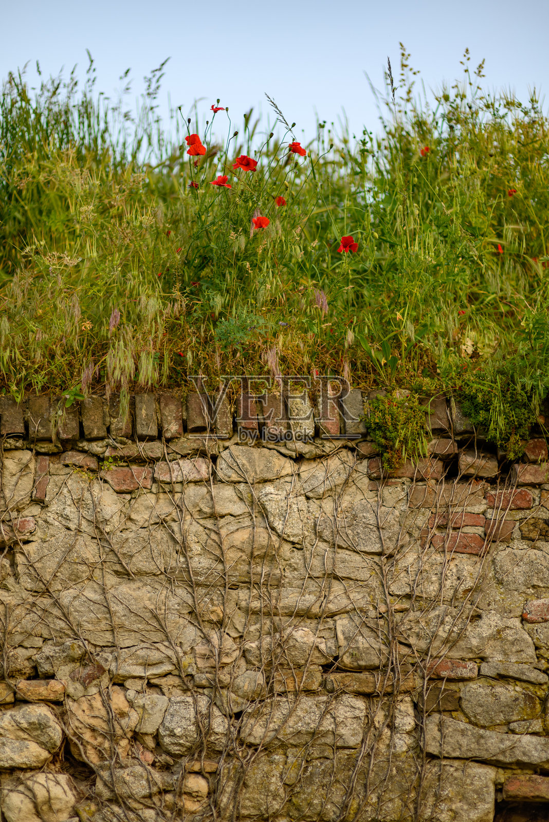塞尔维亚贝尔格莱德卡莱梅格丹公园内的历史贝尔格莱德堡垒遗址照片摄影图片