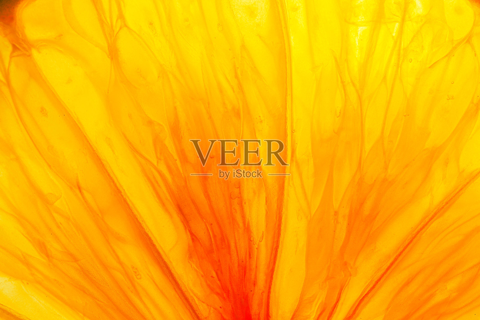 橙色水果纹理特写，背光下的橙子切片，抽象的宏观摄影橙色水果特写背景，柑橘类水果纹理照片摄影图片