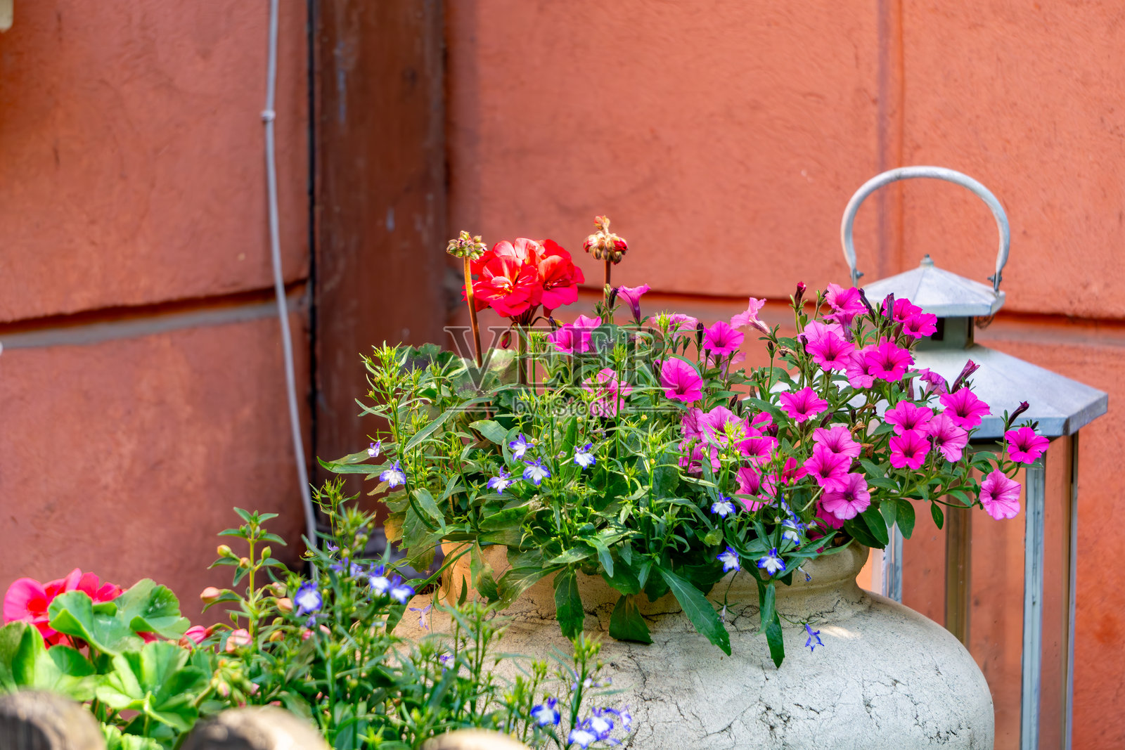 红色灰泥墙旁的陶瓷花盆里盛开着五彩缤纷的夏季花朵照片摄影图片