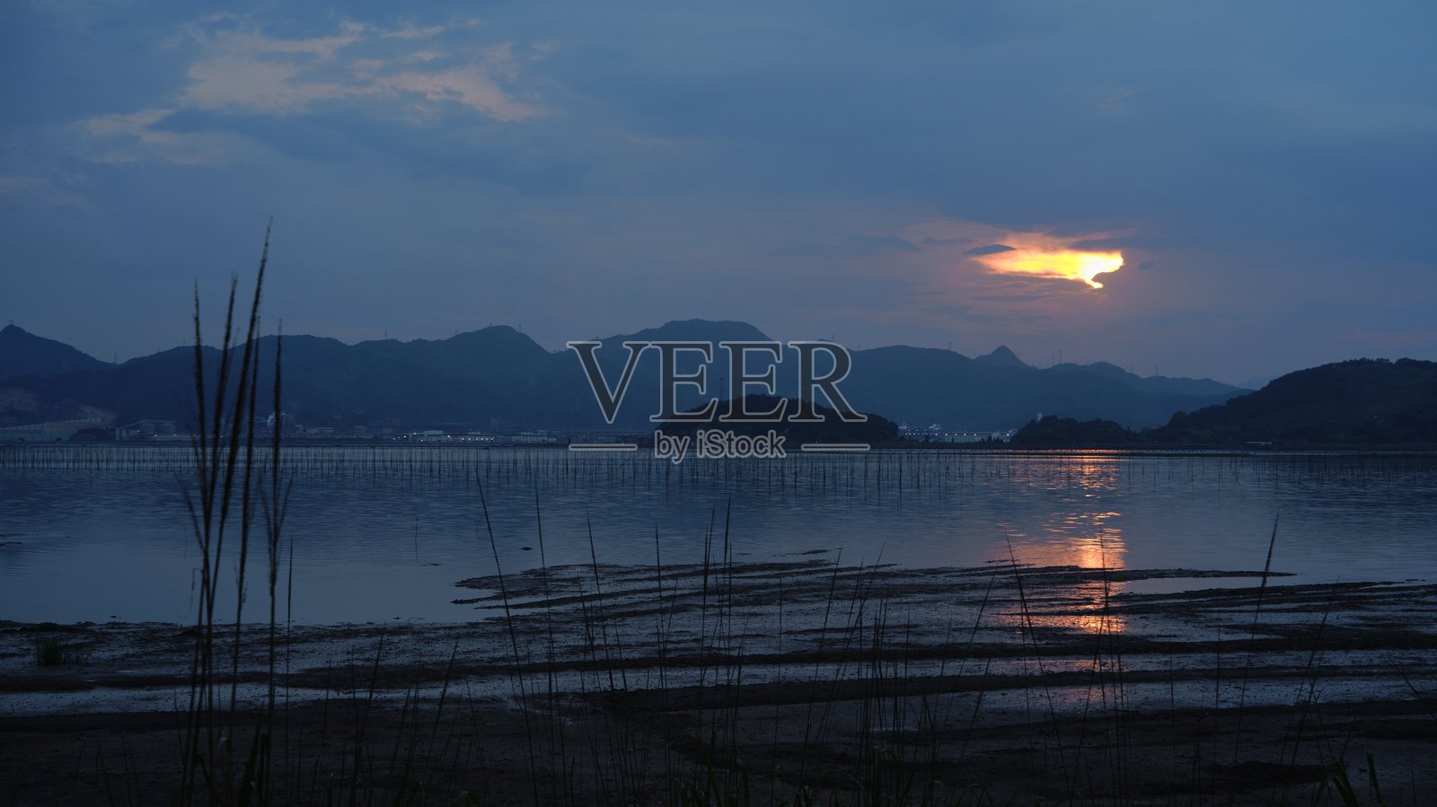 潮滩照片摄影图片