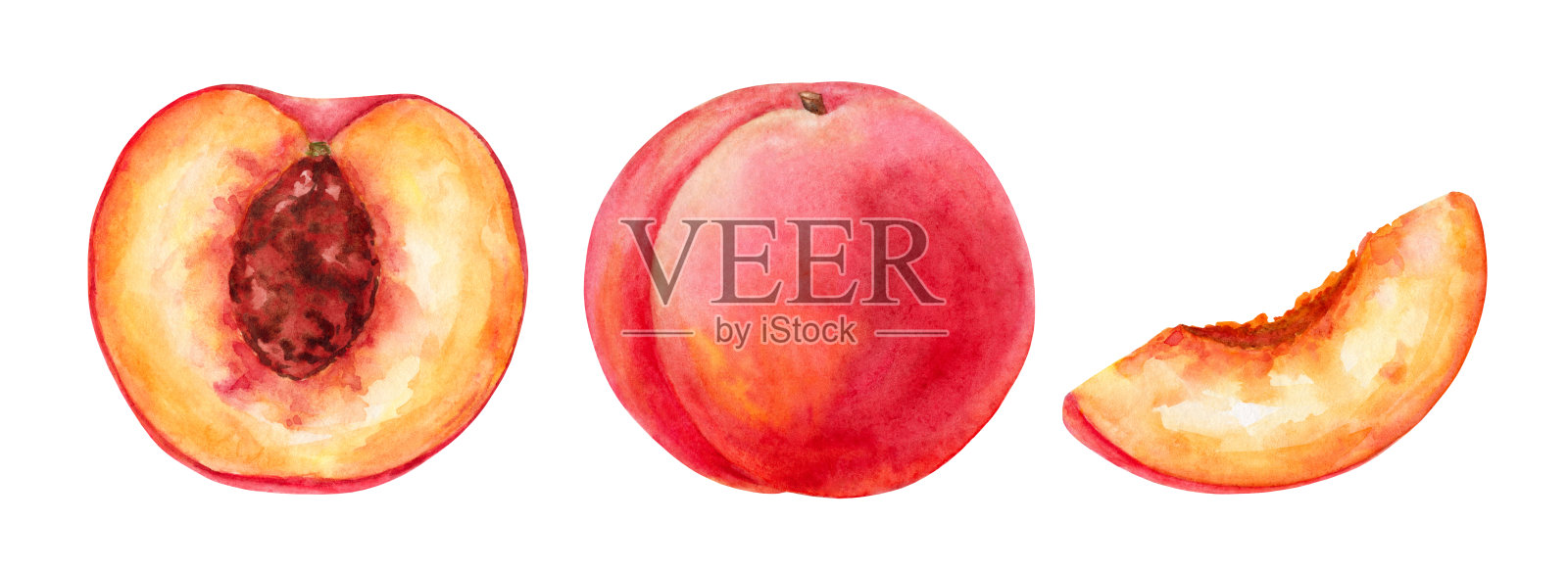 白色背景上的水彩桃子。插画图片素材