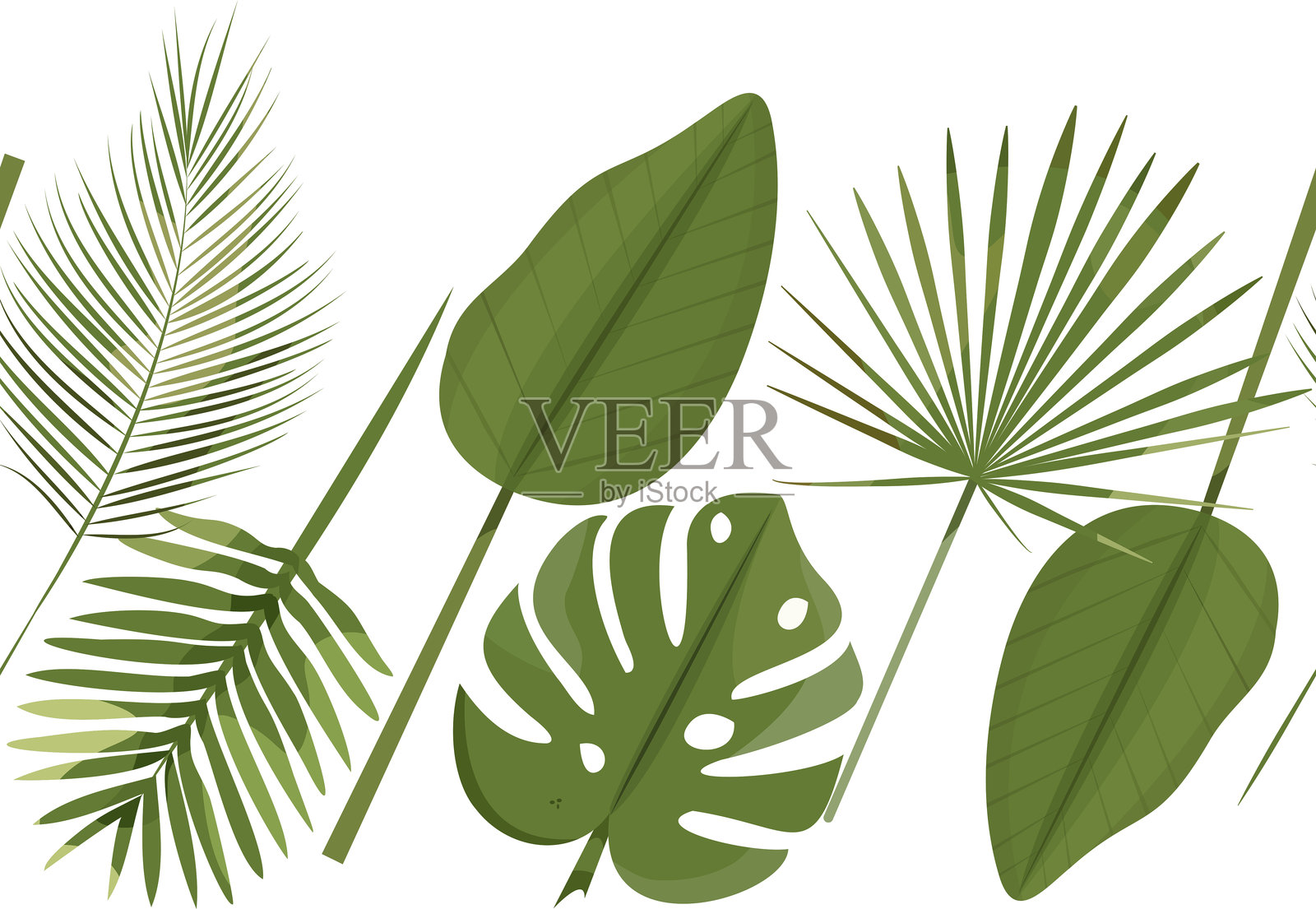 热带叶子无缝边框，棕榈叶， monstera叶，香蕉叶重复纸插画图片素材