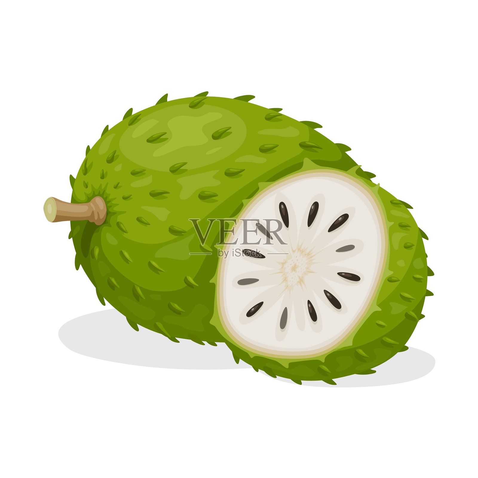 刺果番荔枝果实孤立展示插画图片素材