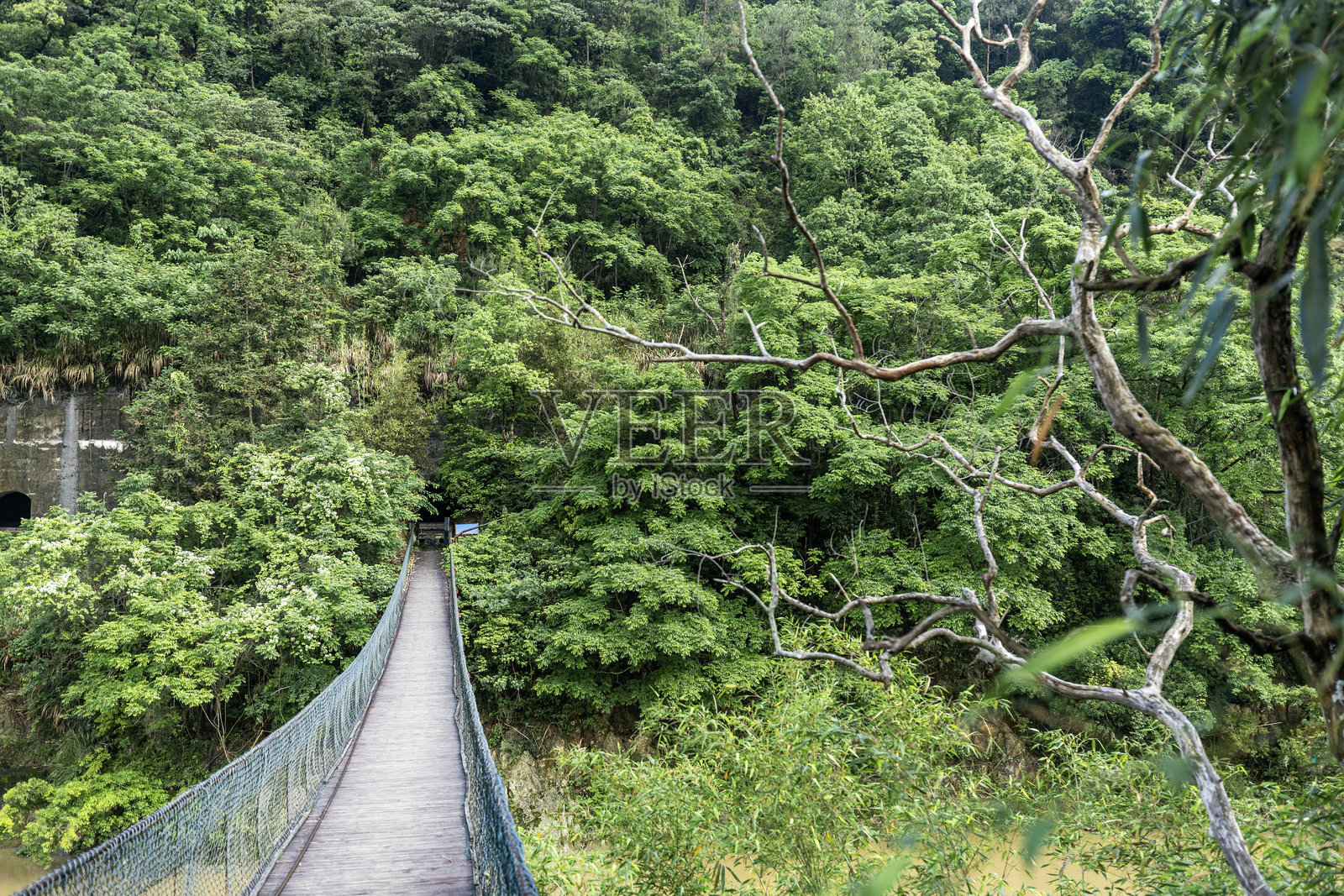 悬索桥照片摄影图片