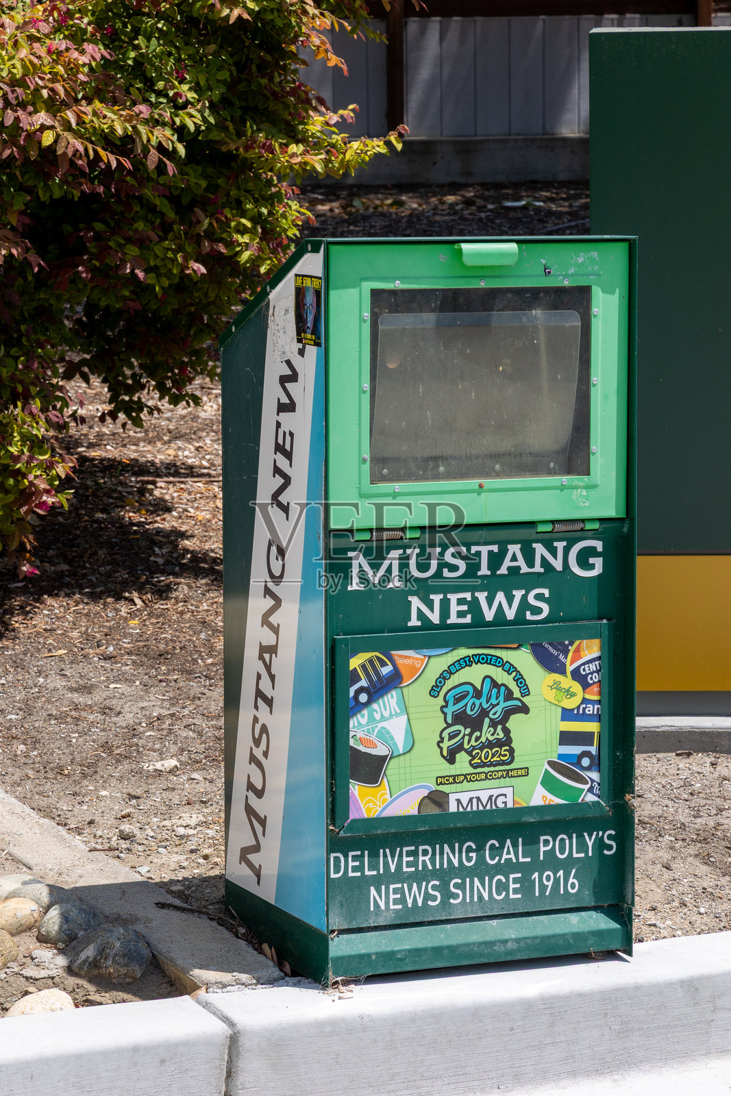 加州理工州立大学校园内的野马报摊照片摄影图片